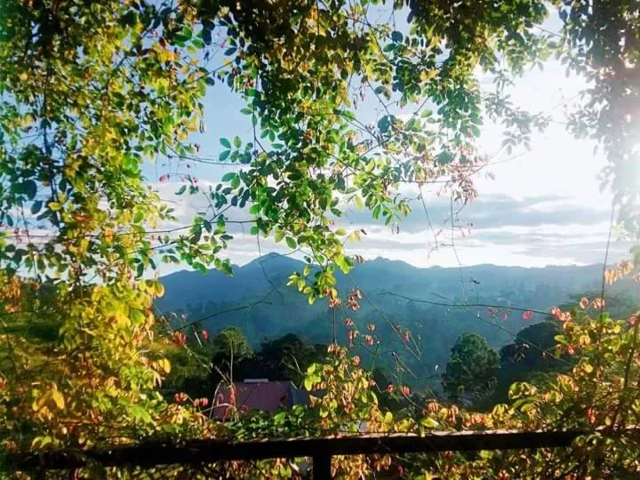 Mountain view in Ella Dream Mount