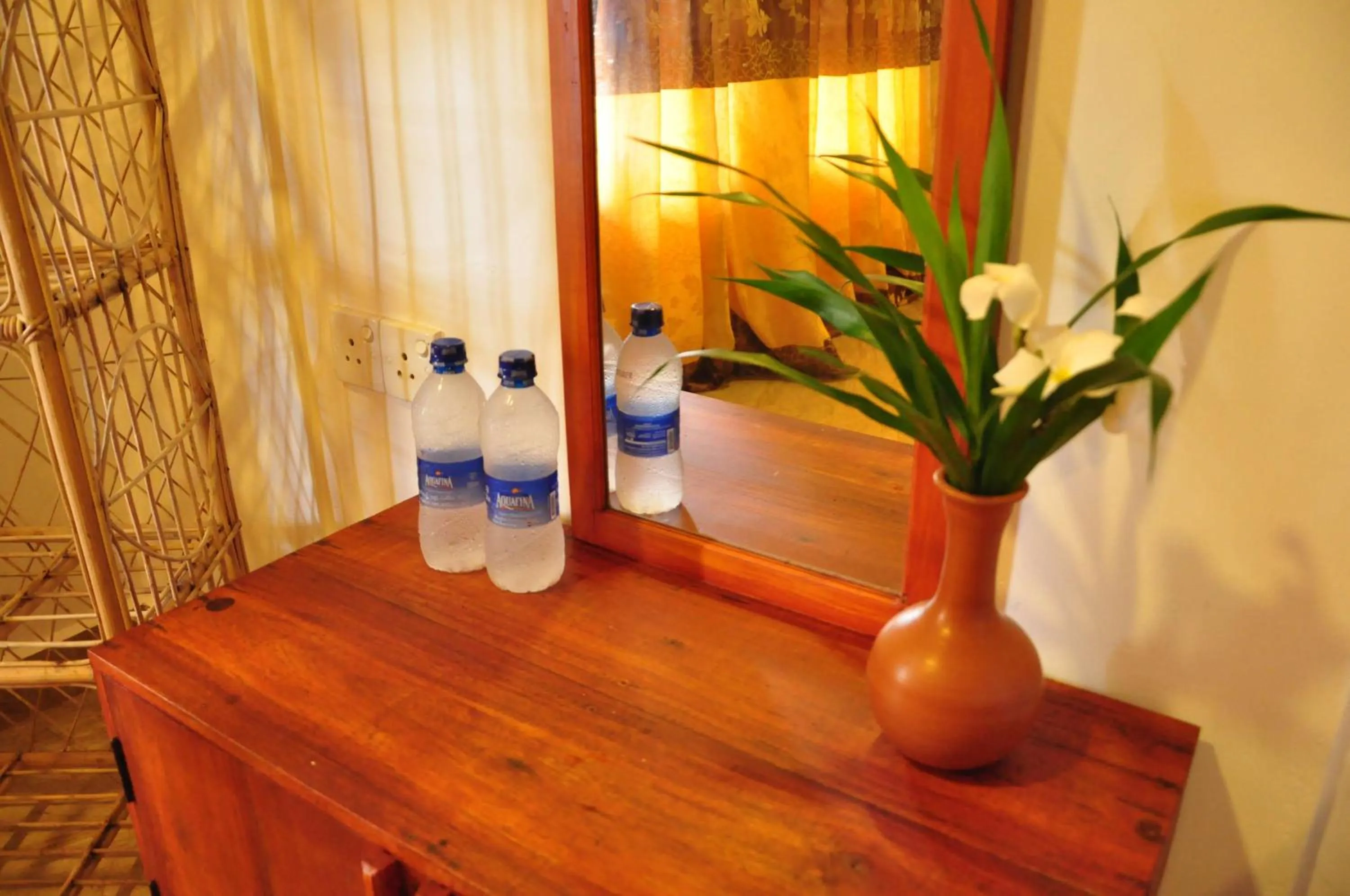 Area and facilities in Mama's place Mirissa