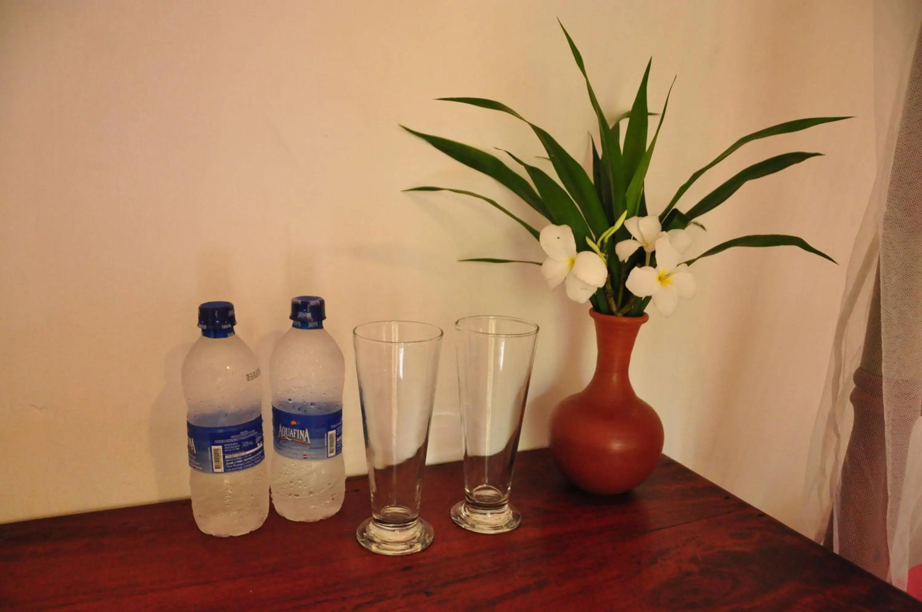 Non alcoholic drinks in Mama's place Mirissa