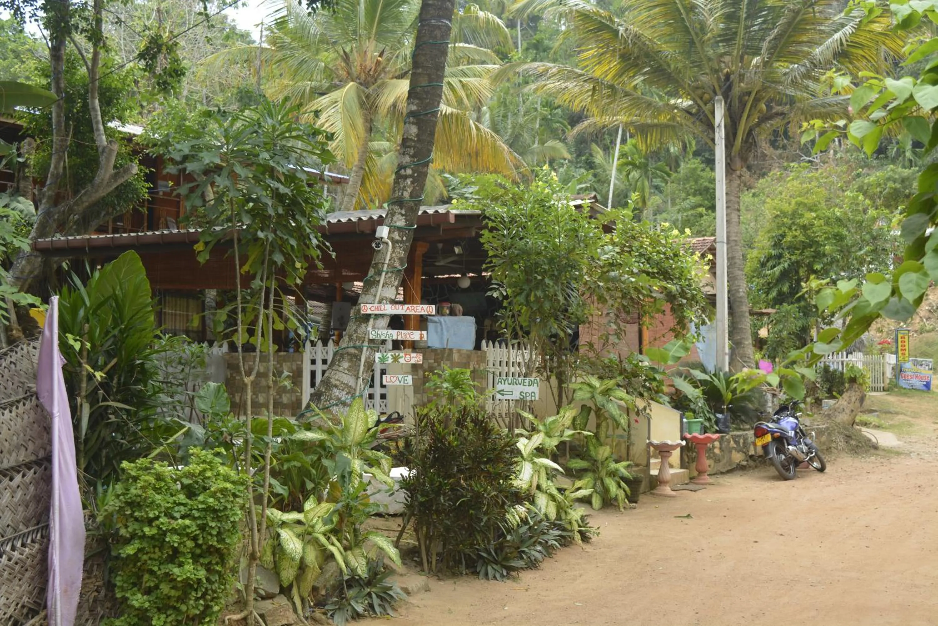 Garden in Mama's place Mirissa