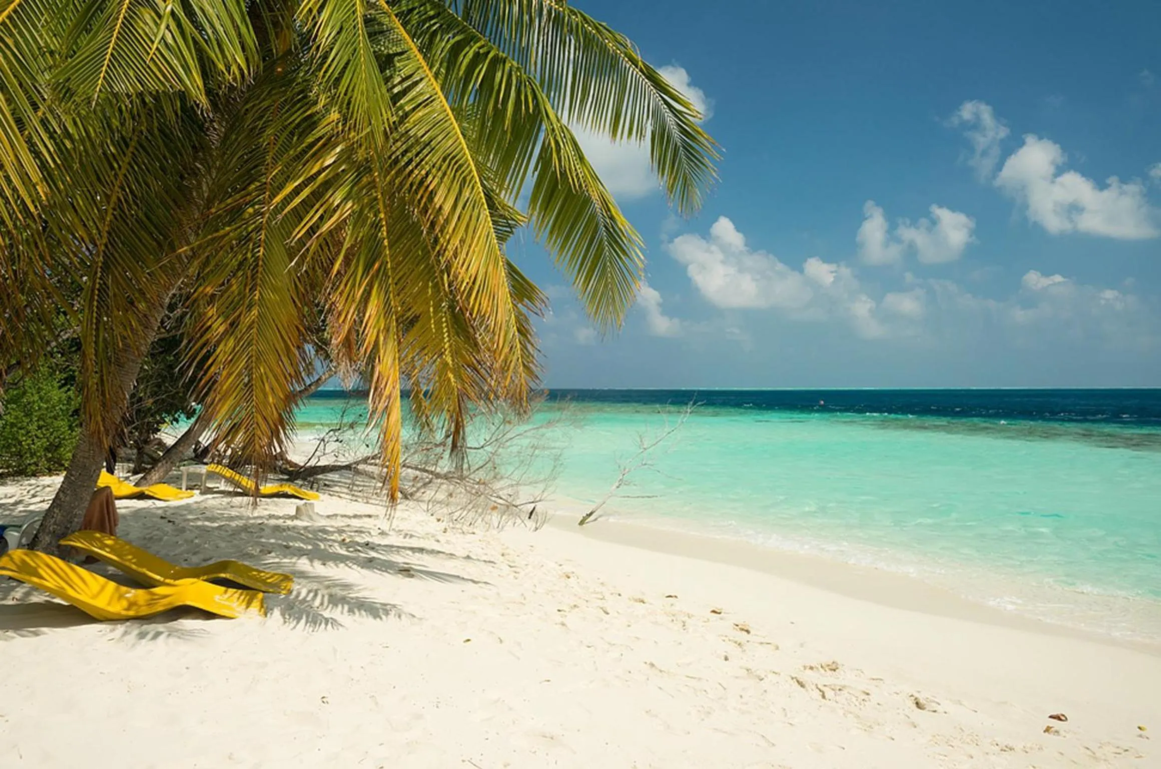 Beach in Embudu Village Maldives