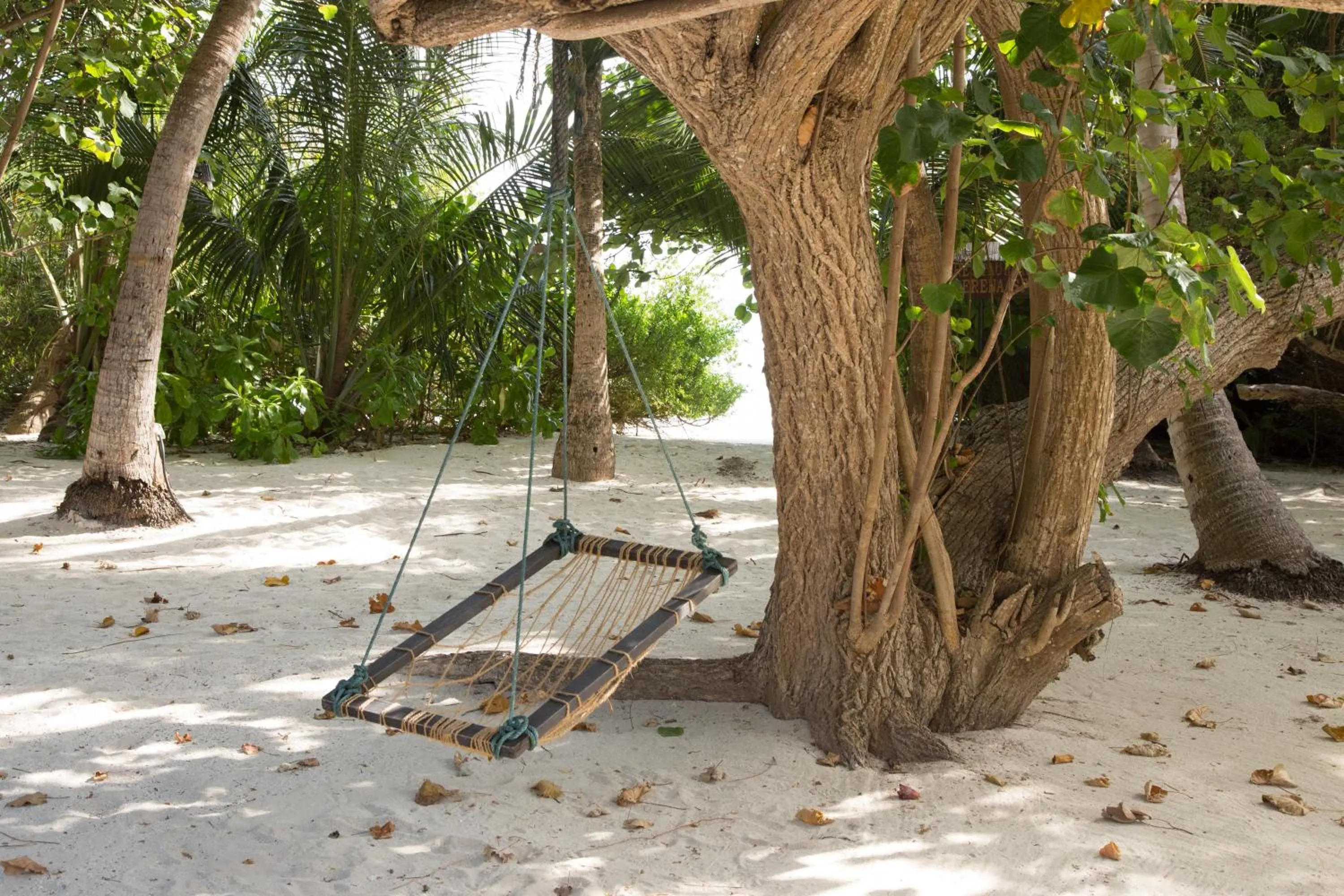 Natural landscape in Embudu Village Maldives
