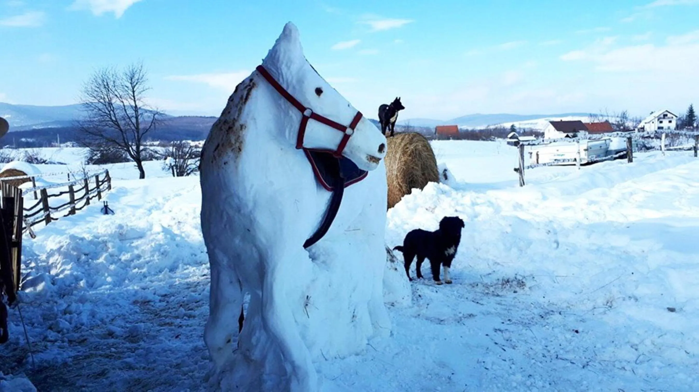 Winter in Ranch Terra