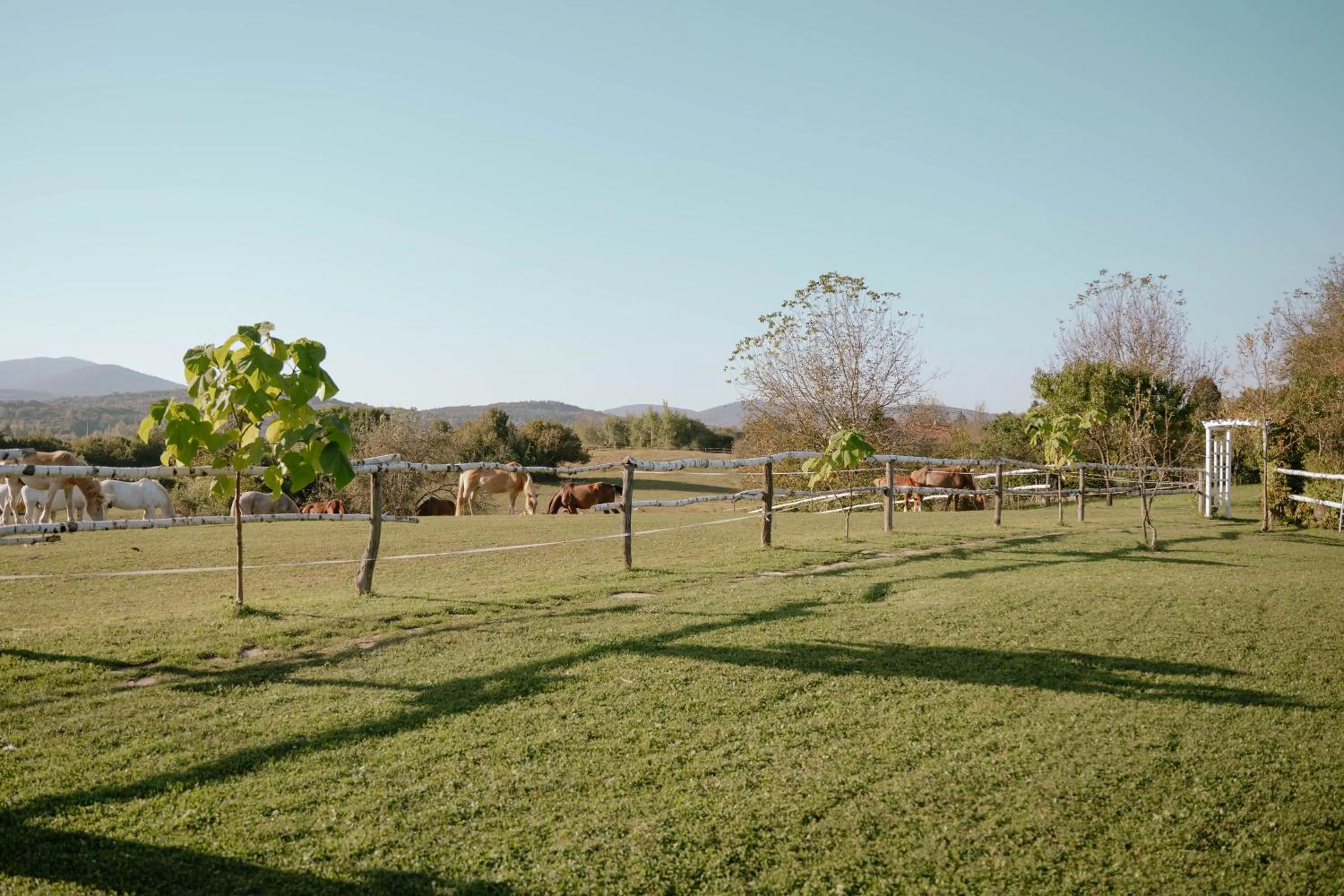 Natural landscape in Ranch Terra