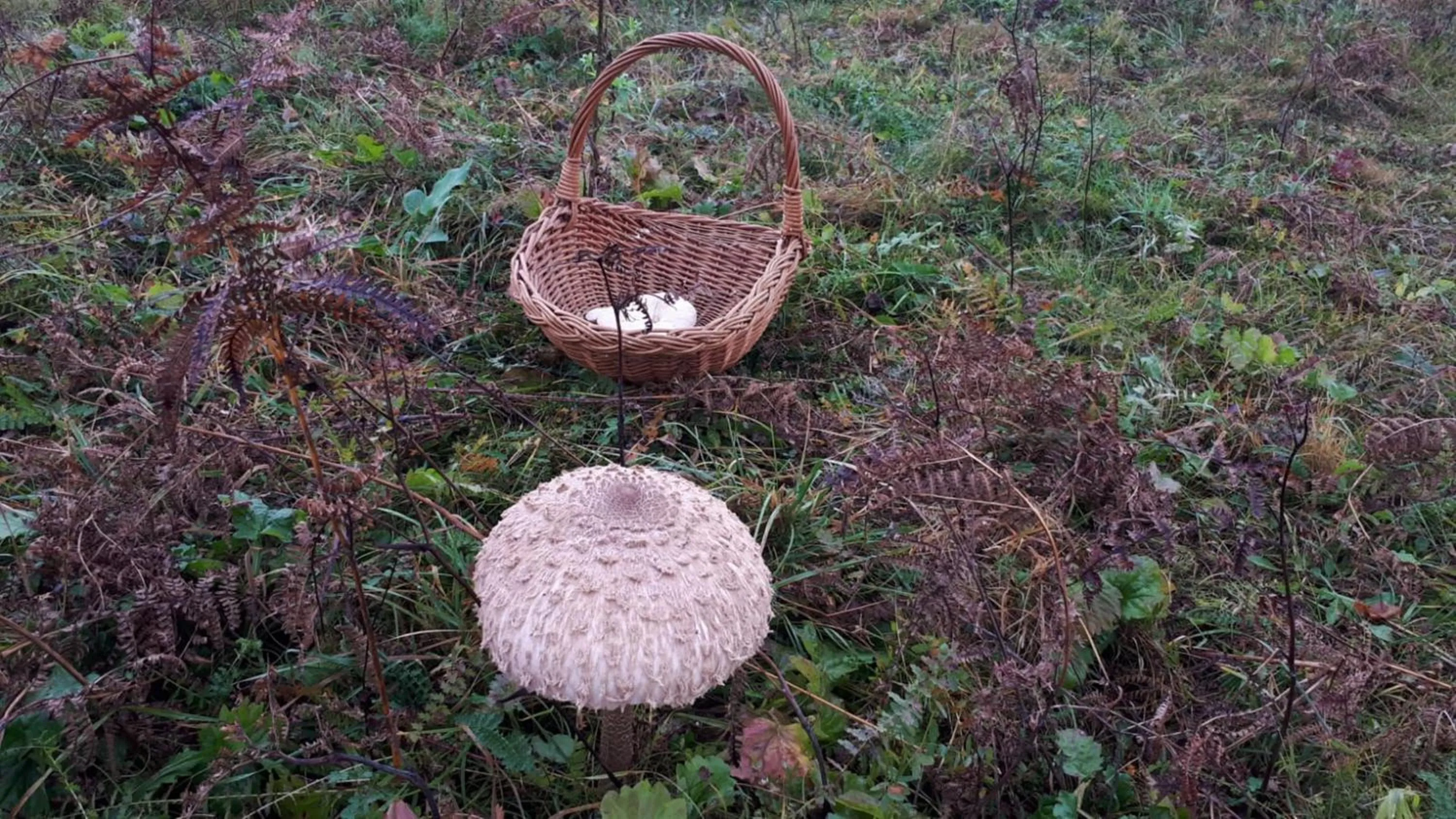 Natural landscape in Ranch Terra