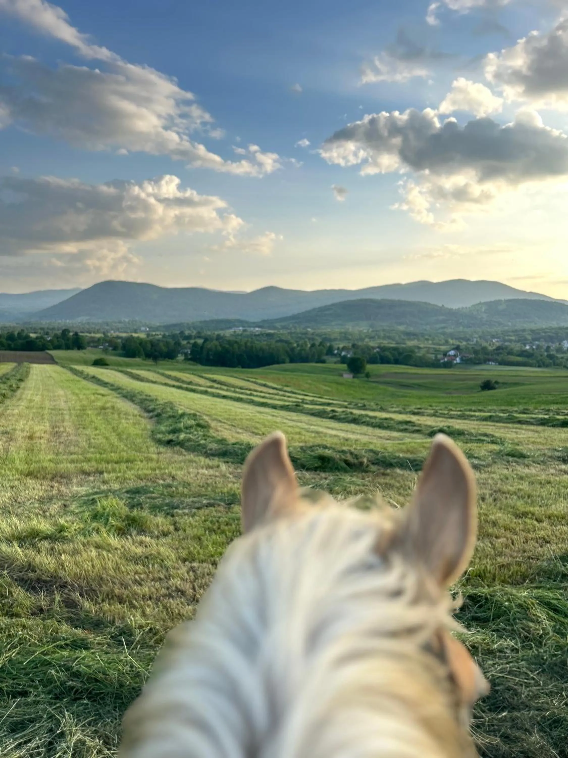 Natural landscape in Ranch Terra