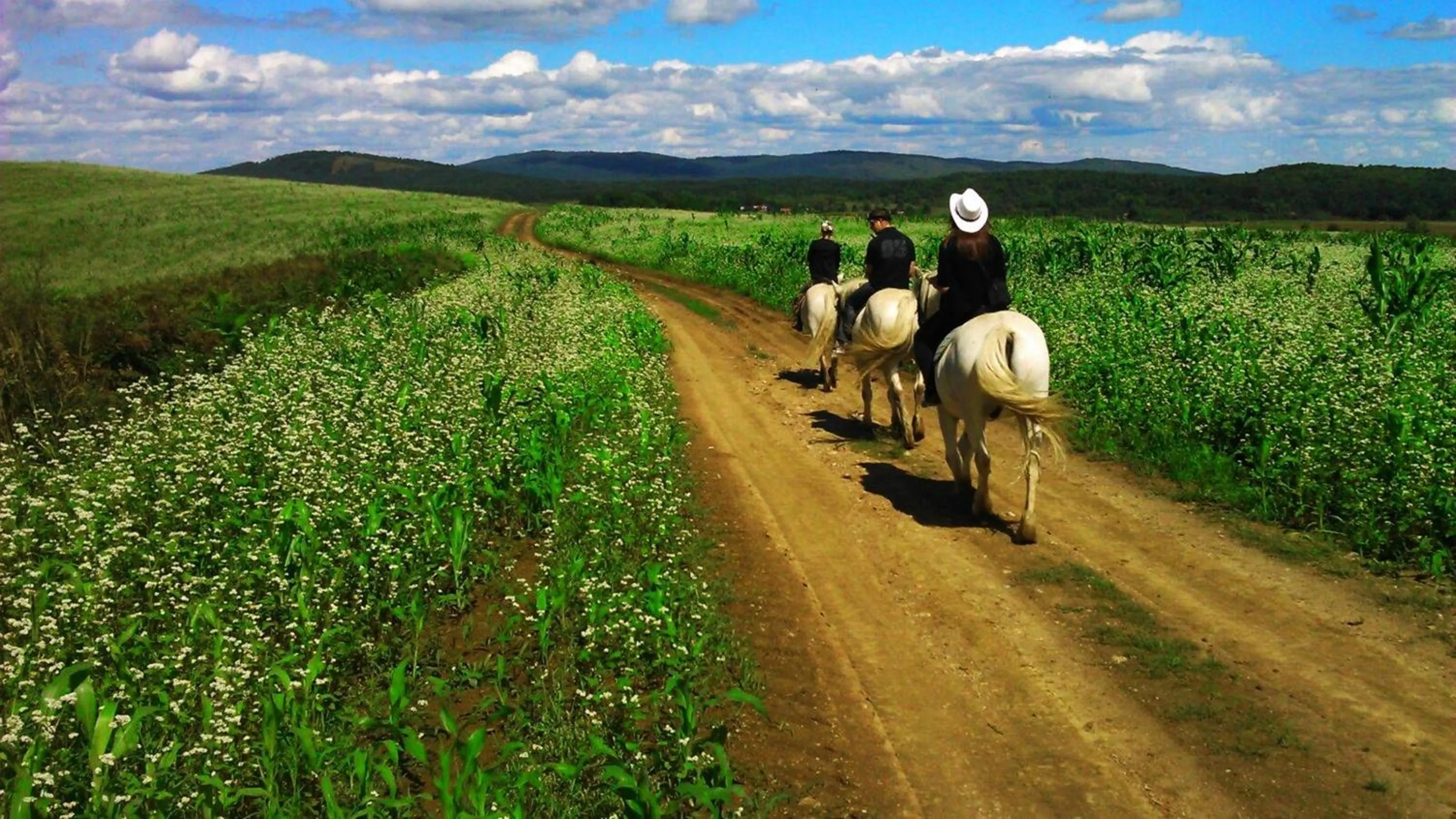 group of guests in Ranch Terra