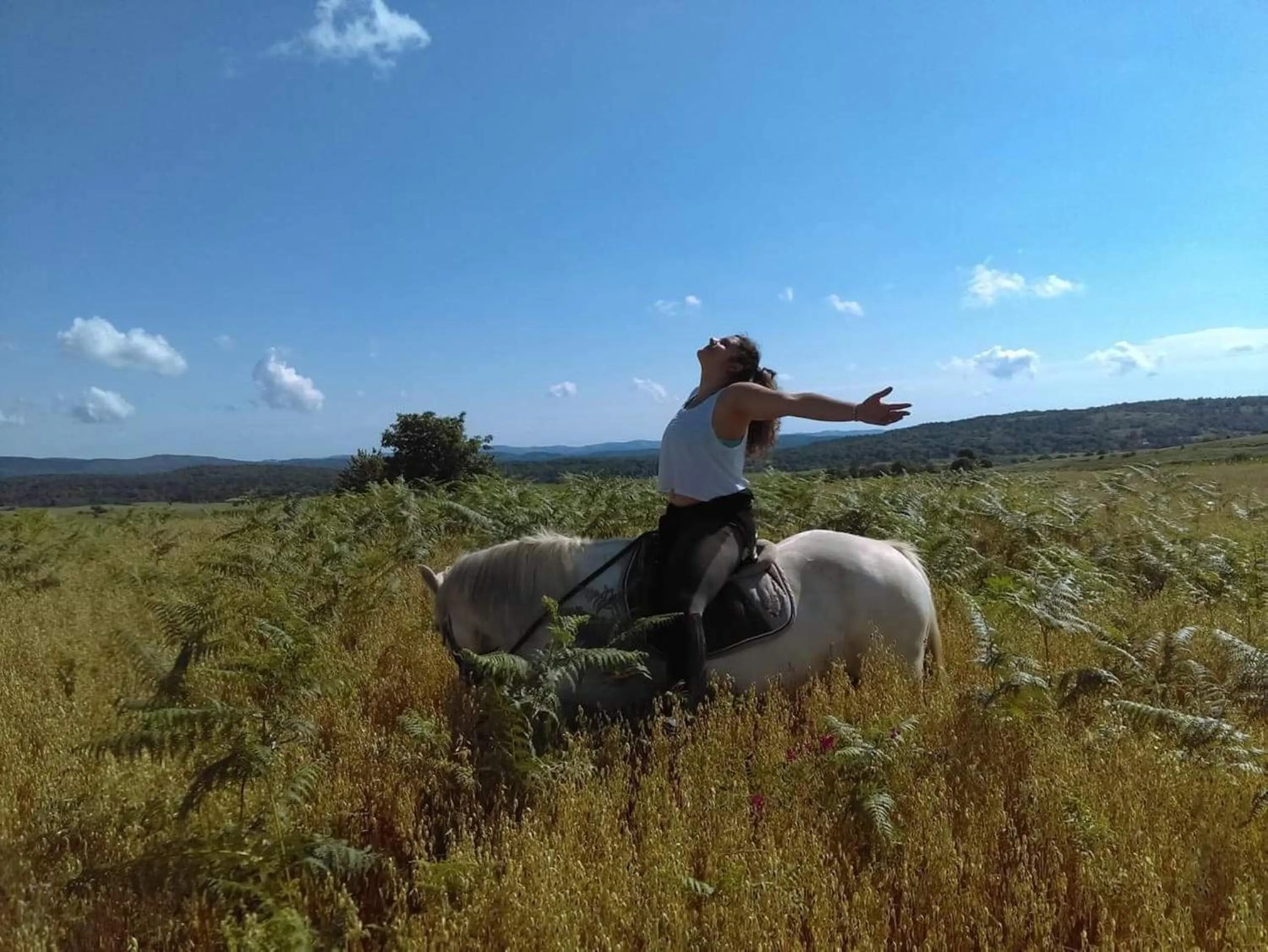 Staff in Ranch Terra