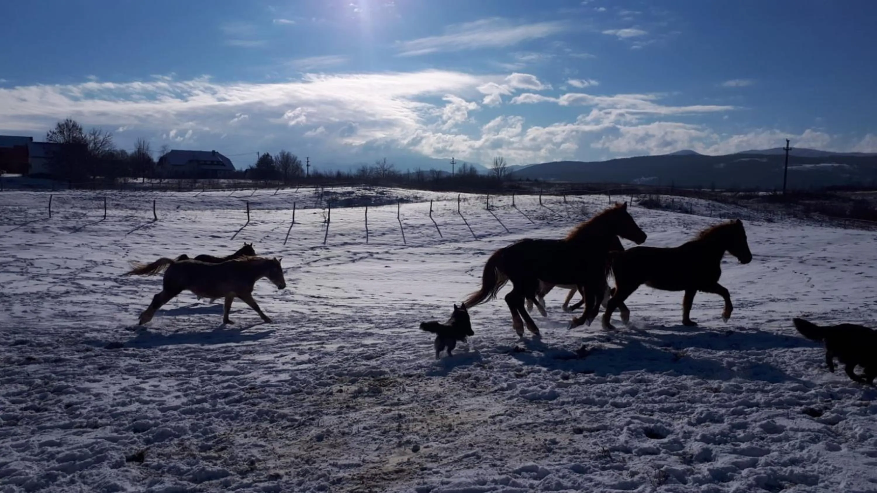 Garden in Ranch Terra