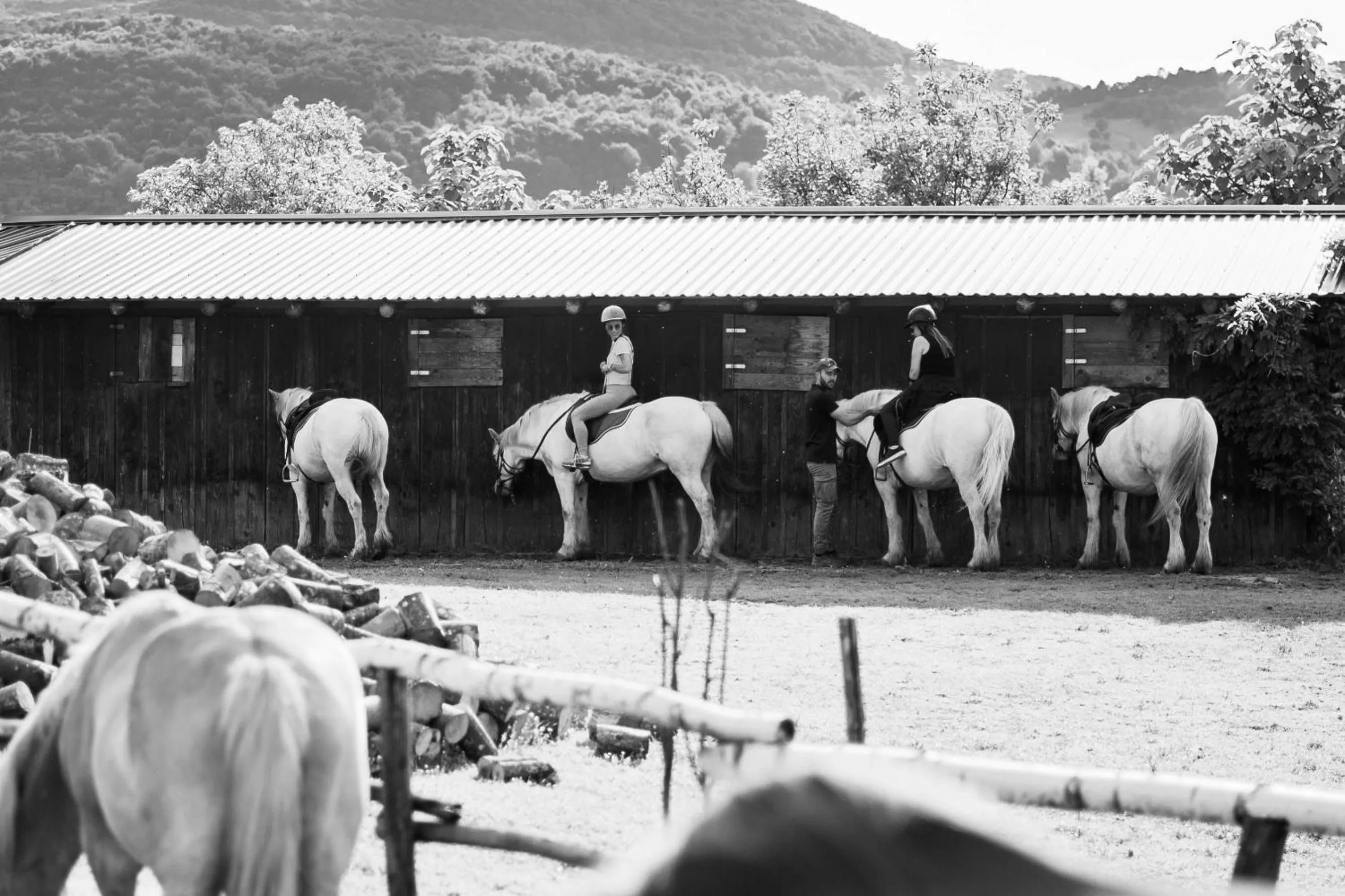 group of guests in Ranch Terra