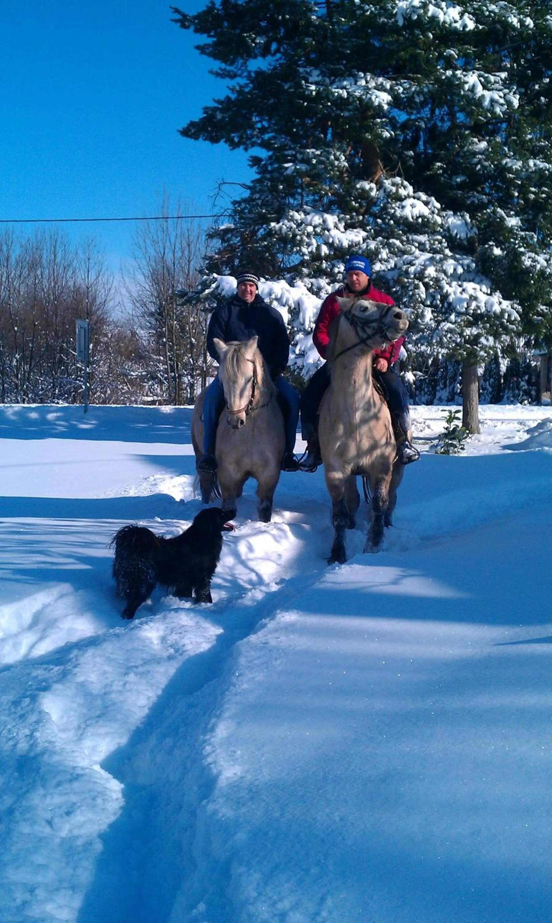 Horse-riding in Ranch Terra
