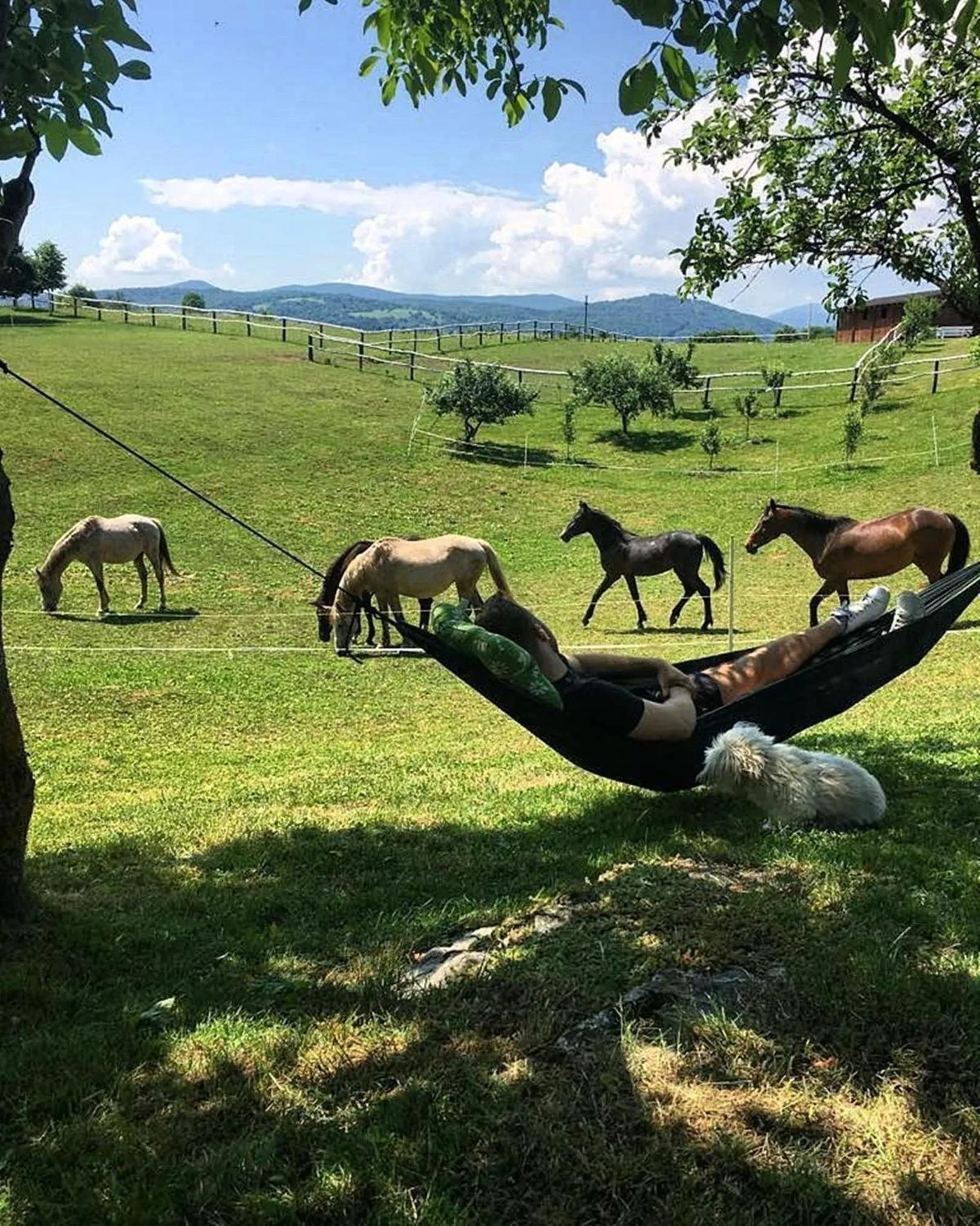 Garden in Ranch Terra