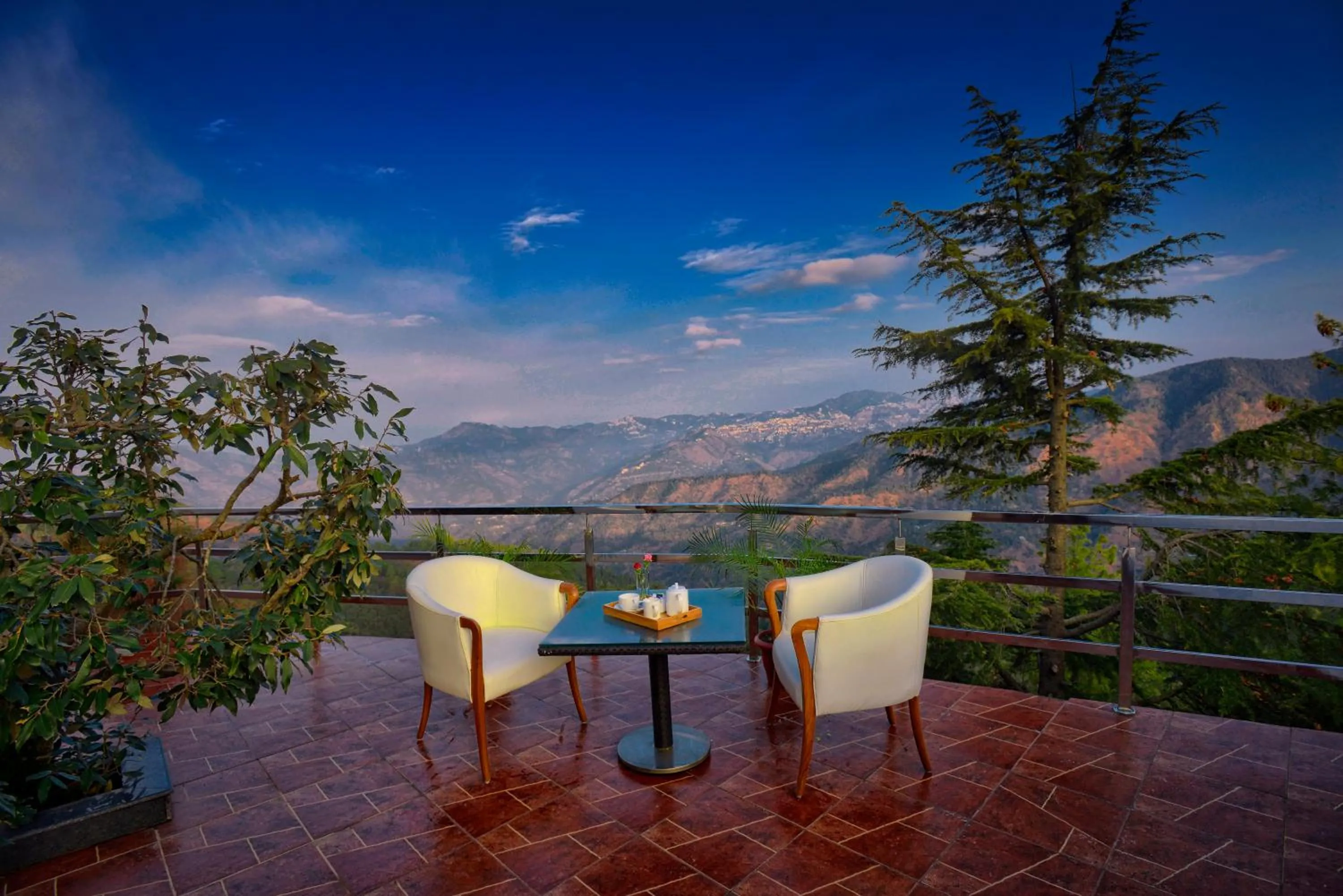 Natural landscape in TreeHouse Chail Villas