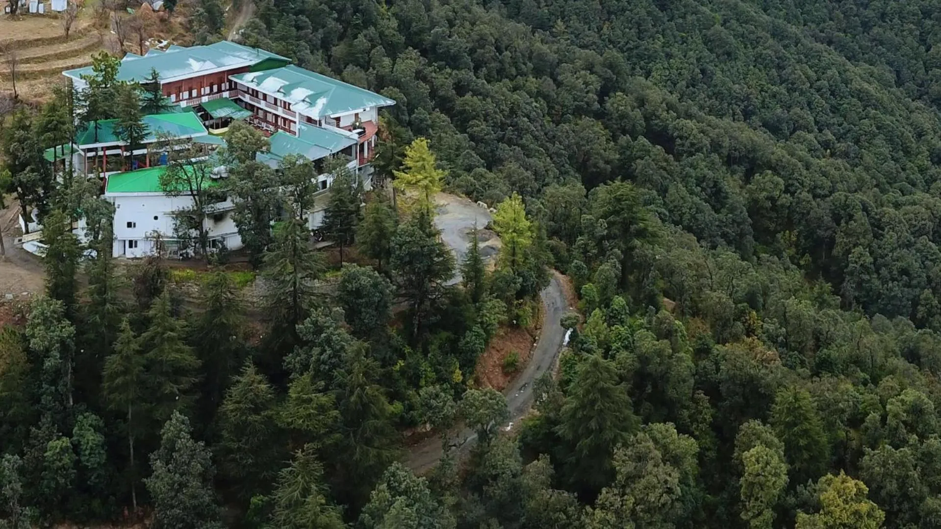 Natural landscape in TreeHouse Chail Villas