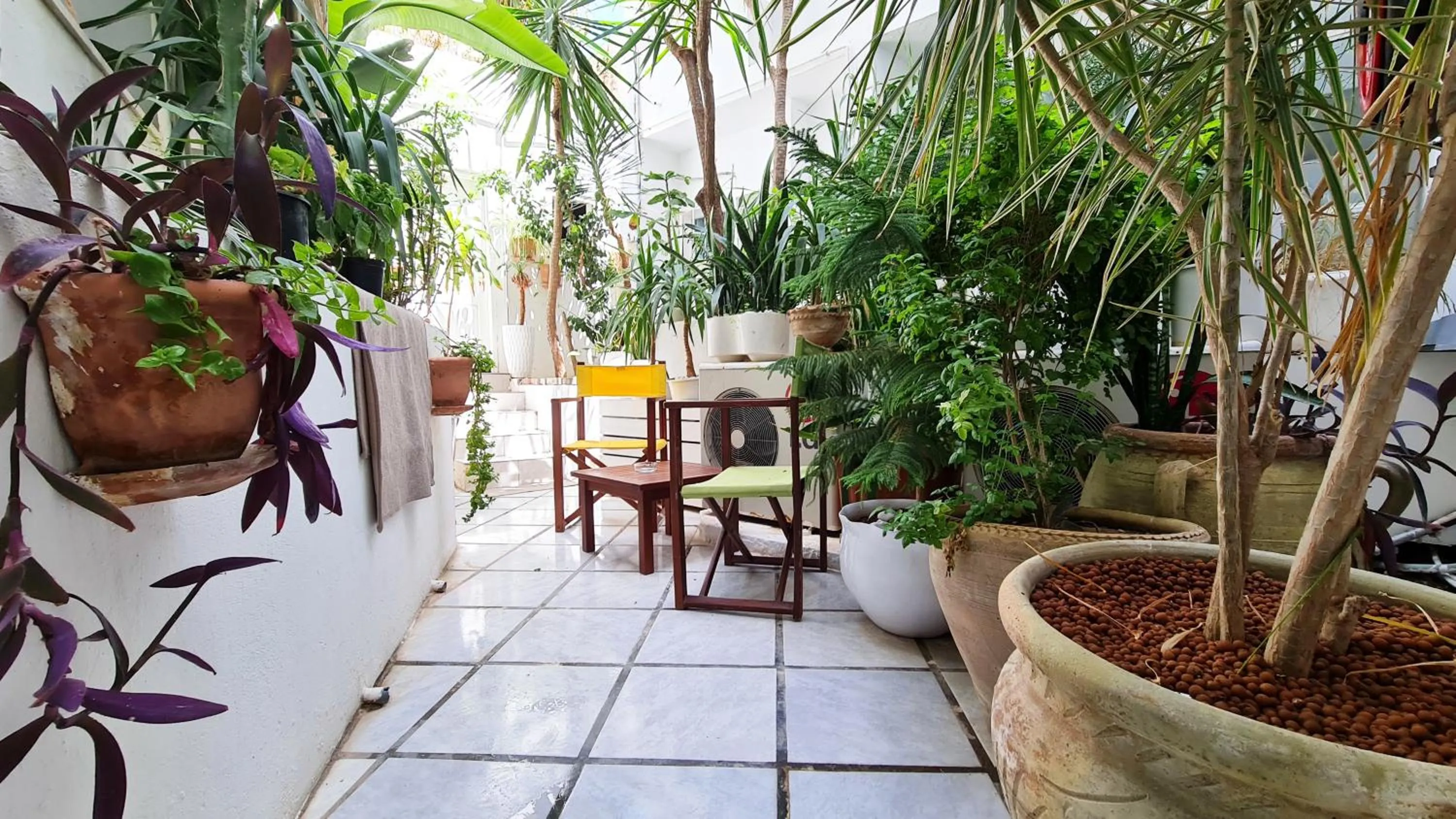 Lobby or reception in Hotel Khella