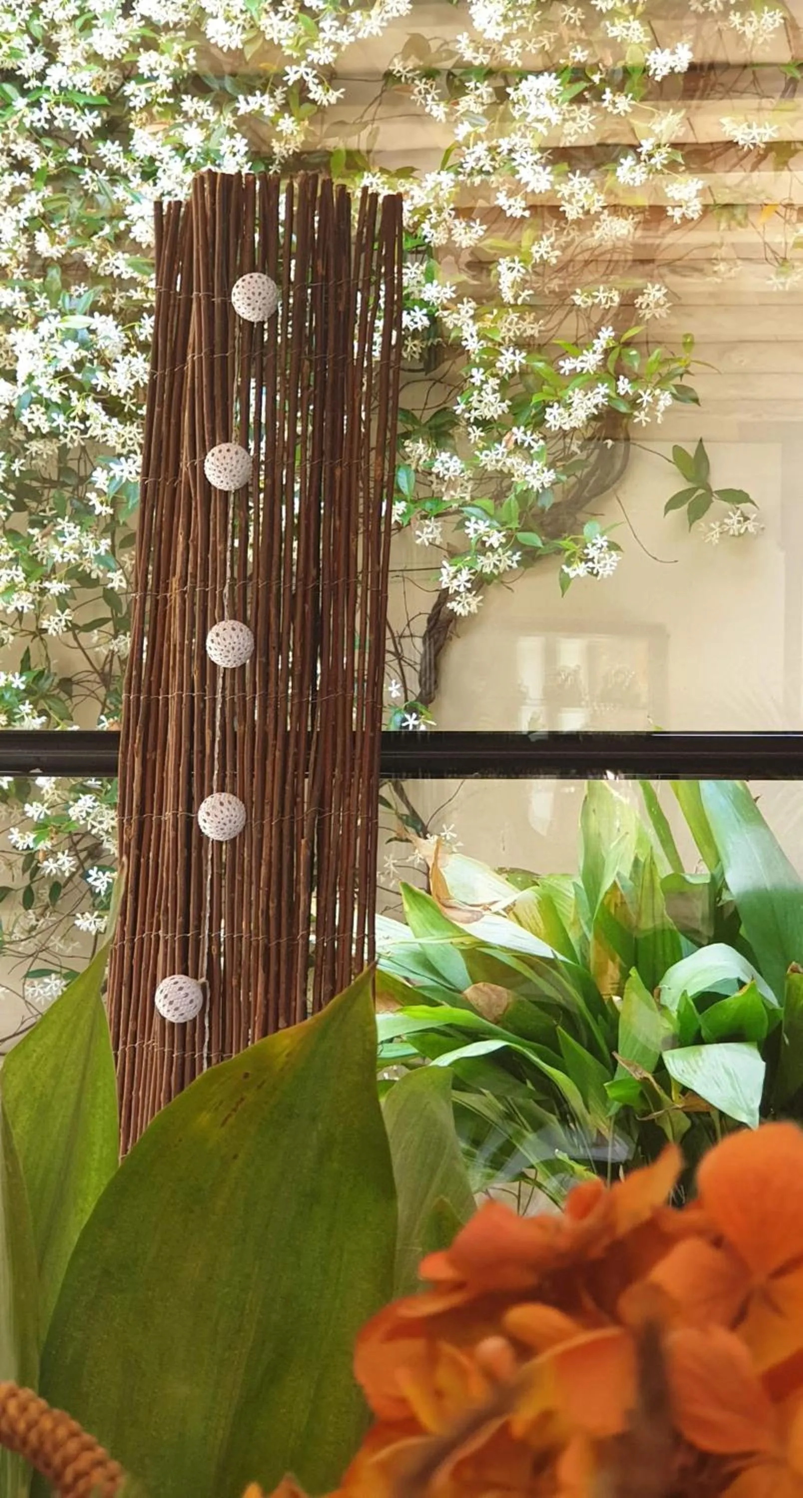 Shopping Area in Mas Ferran Adults Only