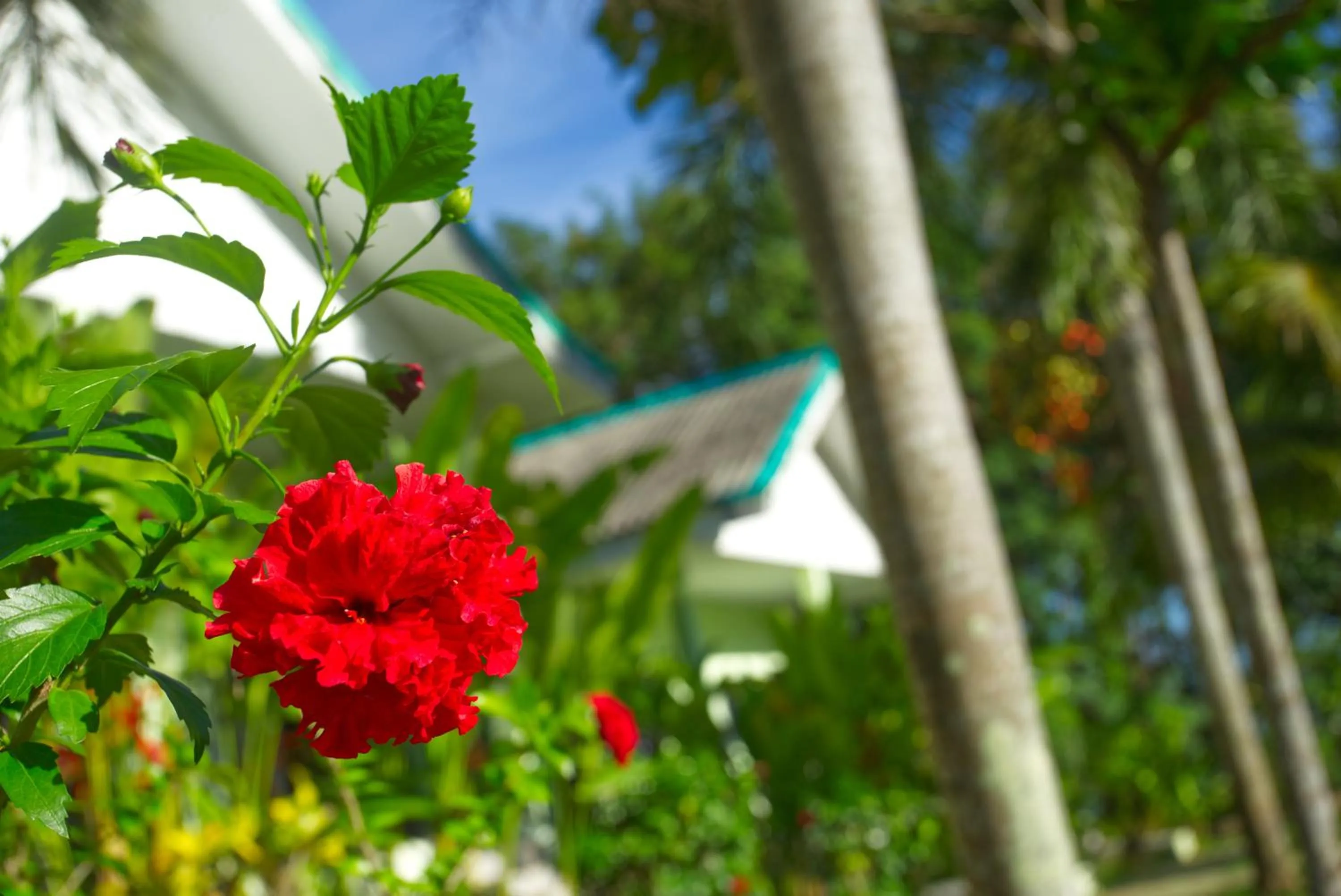 Property building in Sea View Resort