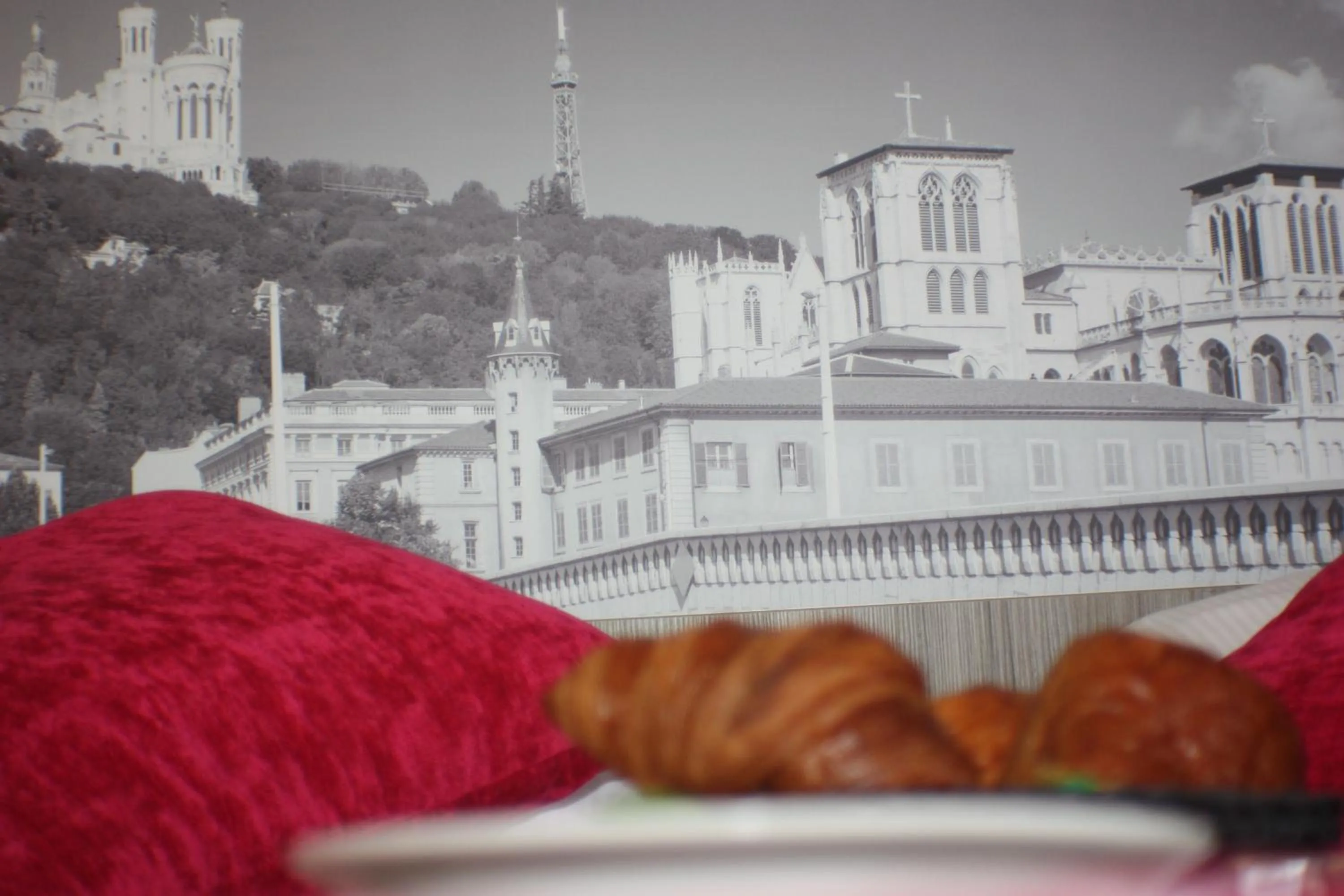 Other in Hôtel Saphir Lyon