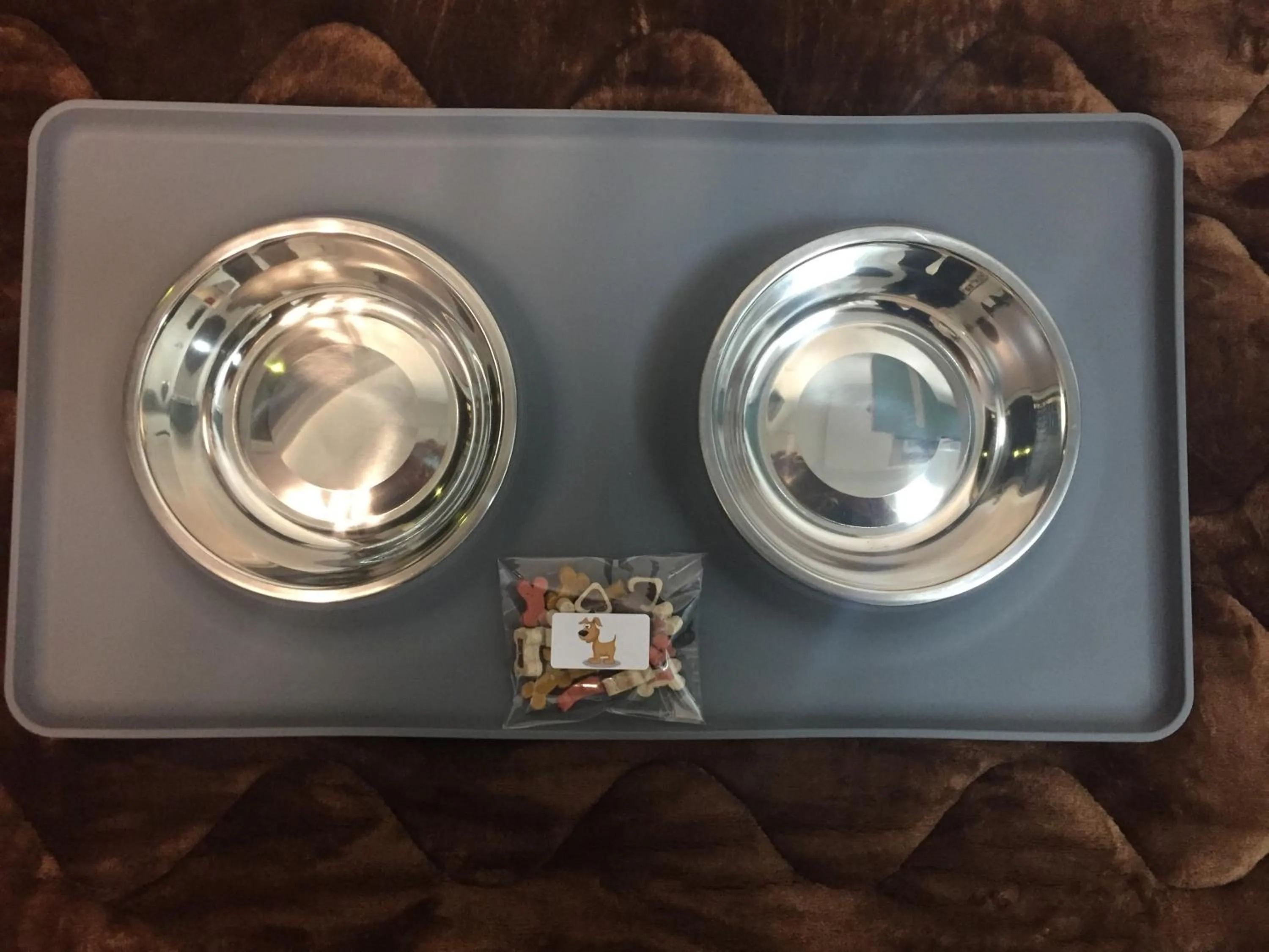 Animals in Hôtel Saphir Lyon