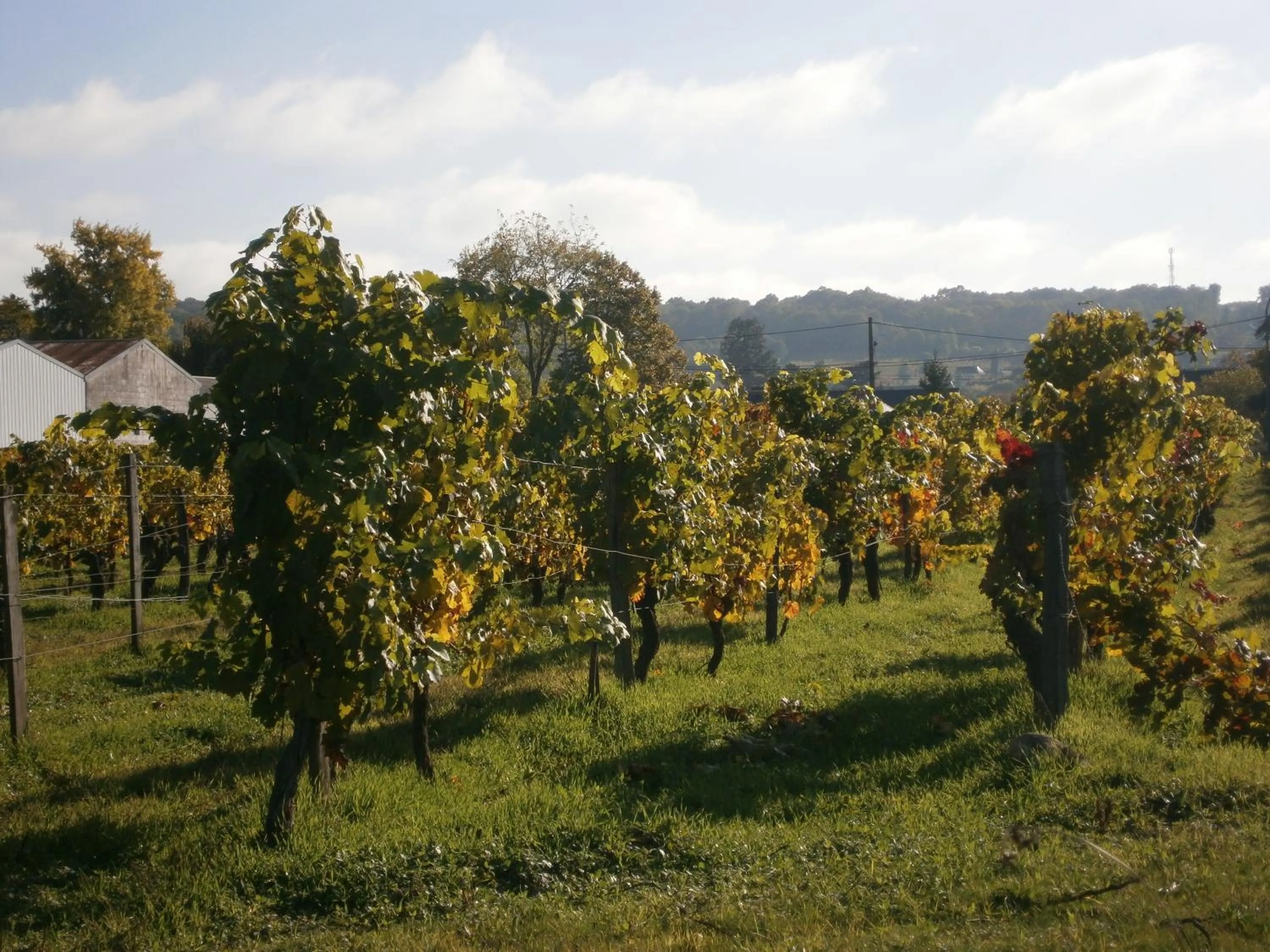 Off site in Chez Elisa