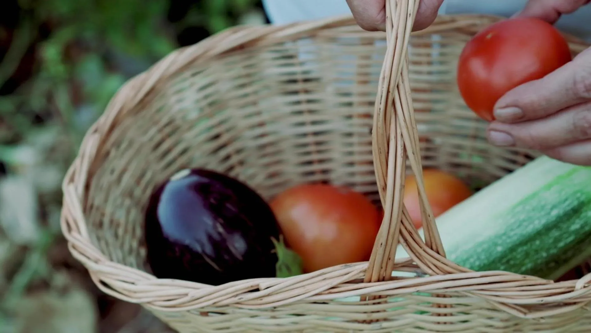 Food and drinks in Maya Bistro Hotel & Beach