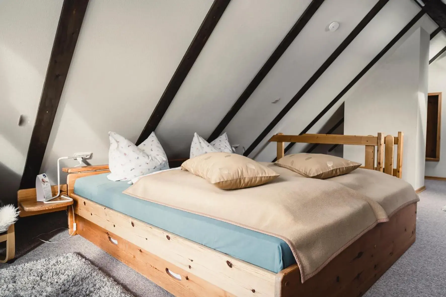 Apartment - single occupancy - Split Level in Altsächsischer Gasthof Kleines Vorwerk Apartment - single occupancy - Split Level in Altsächsischer Gasthof Kleines Vorwerk