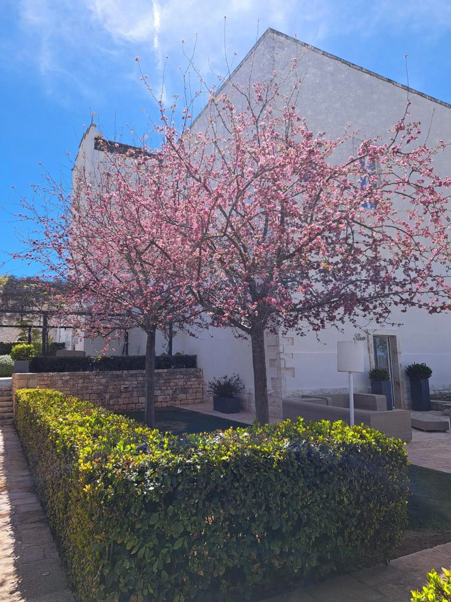 Garden in Relais Il Santissimo