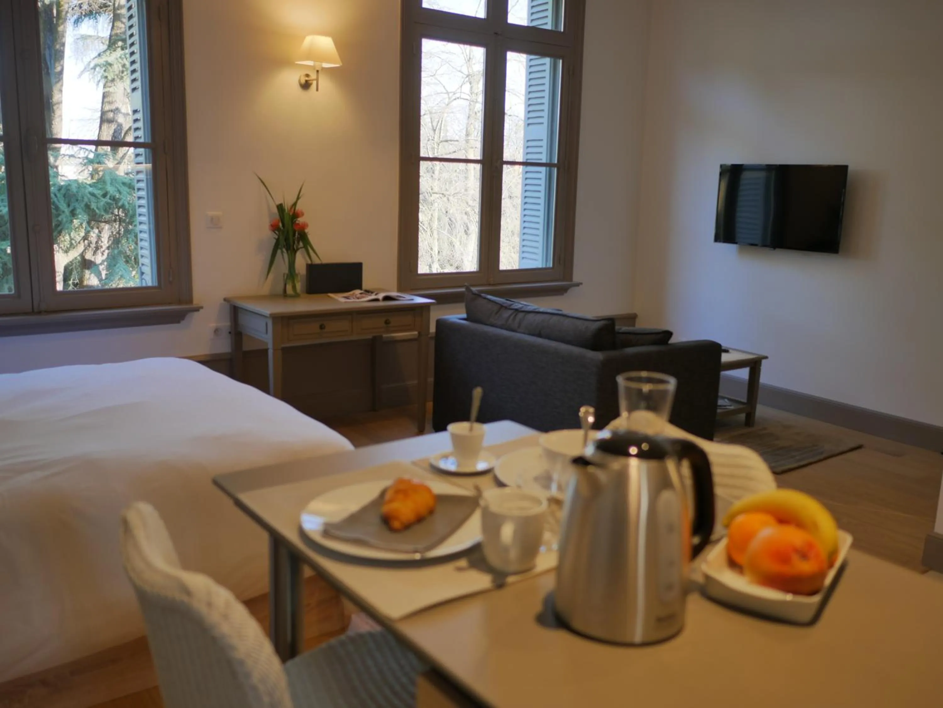 TV and multimedia in Résidence de Tourisme Central Parc Tours