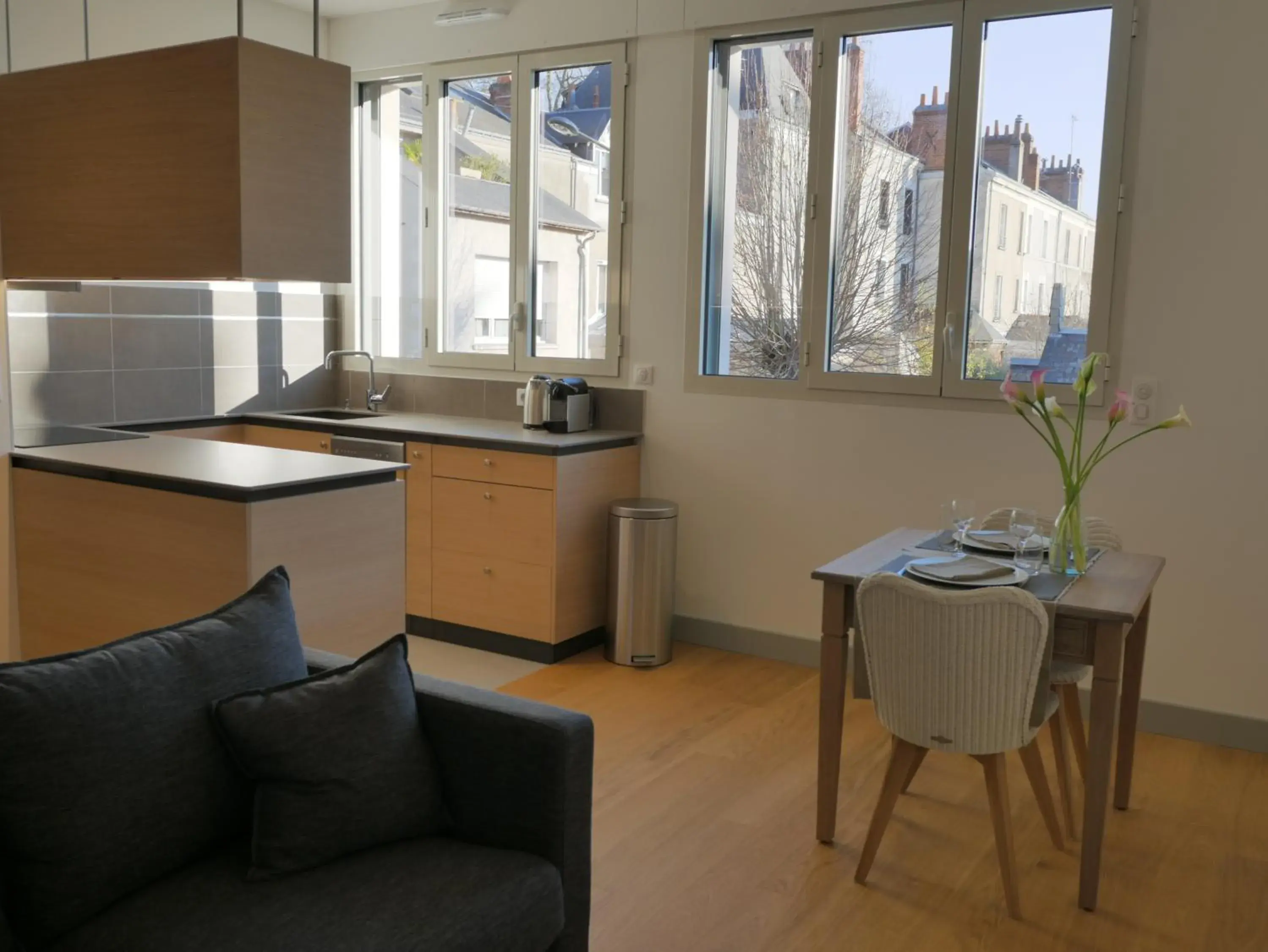 Apartment Ginkgo Biloba in Résidence de Tourisme Central Parc Tours Apartment Ginkgo Biloba in Résidence de Tourisme Central Parc Tours