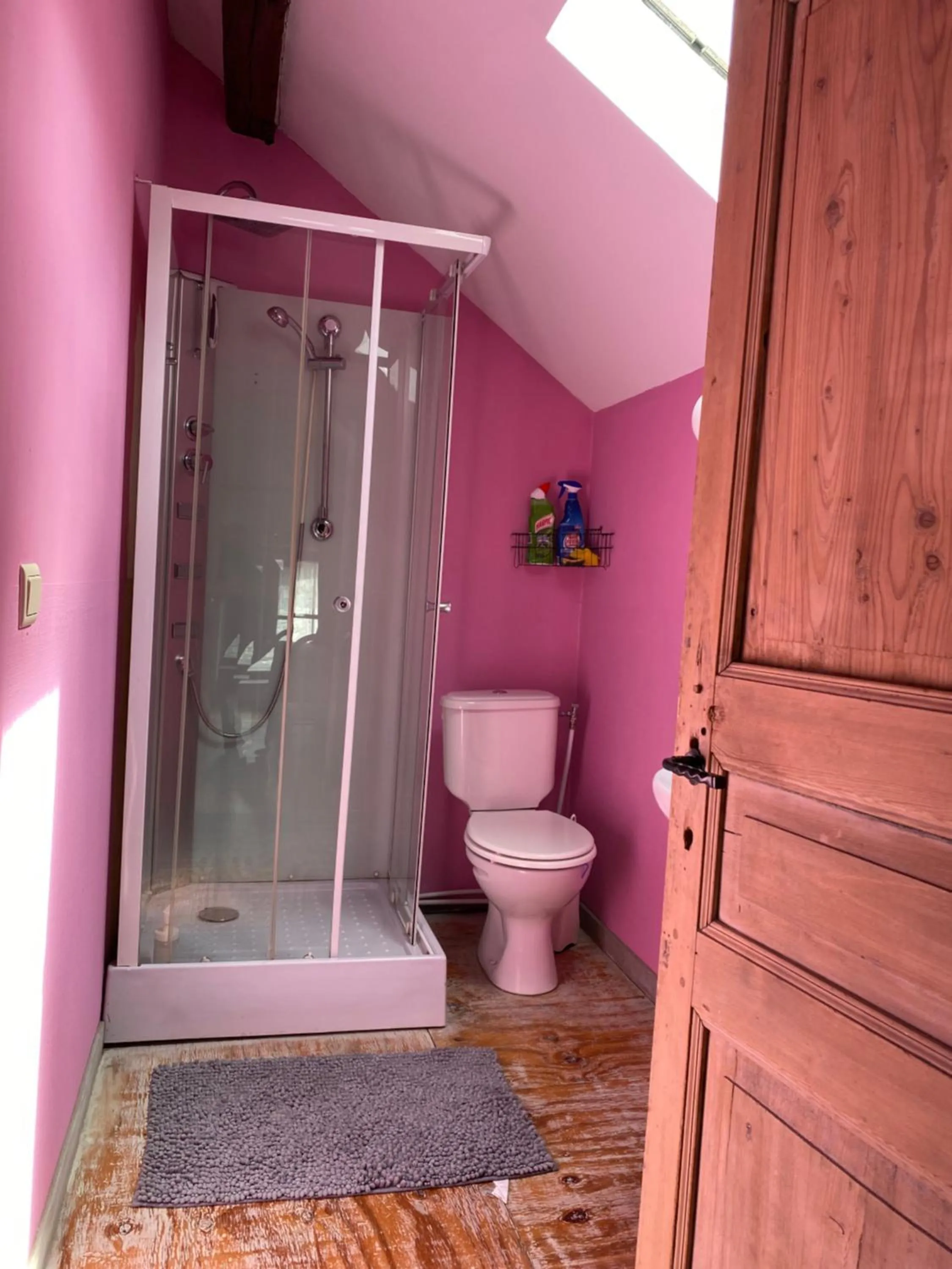 Shower in B&B Villa Belle Epoque