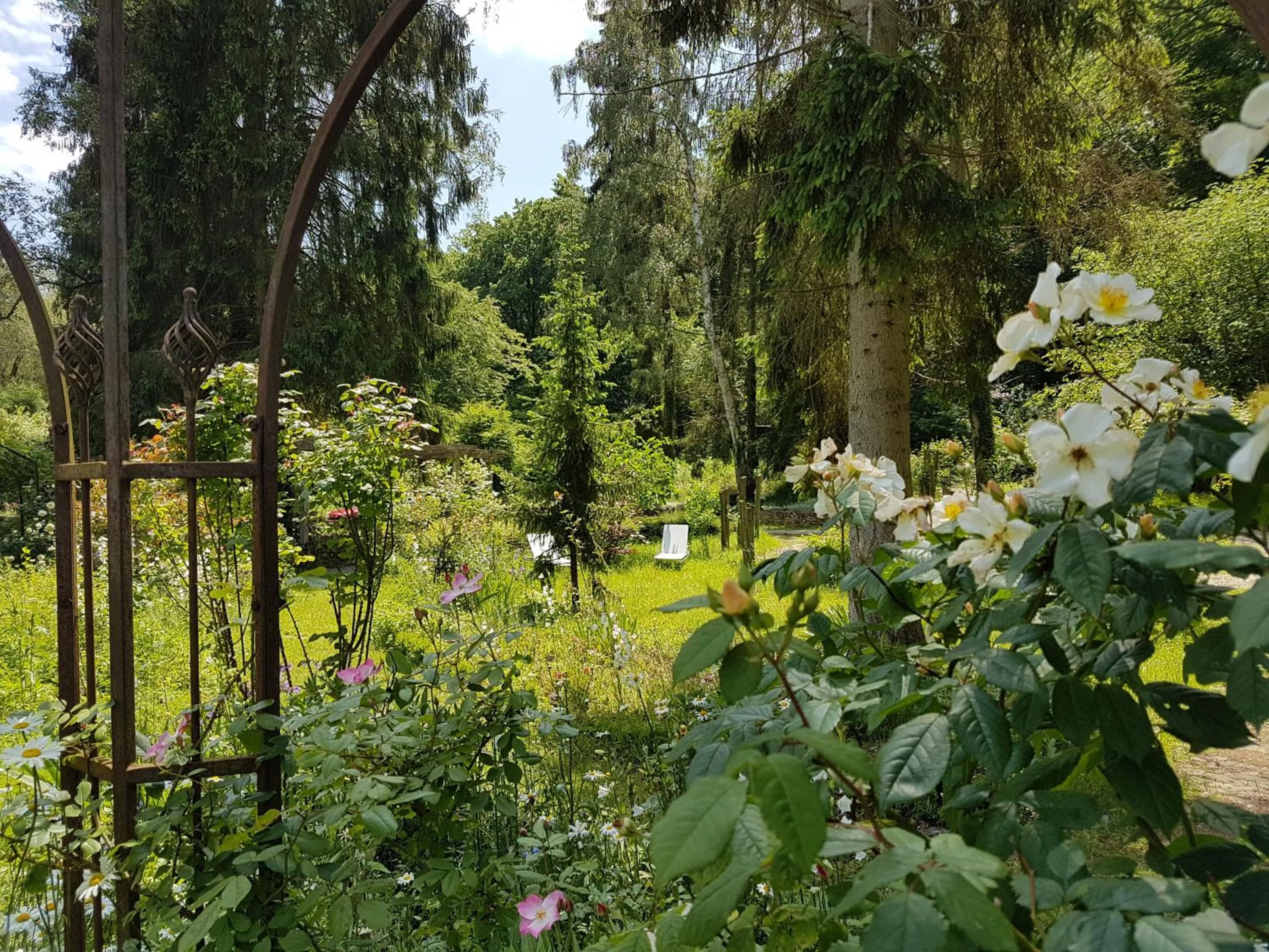 Garden in Le jardin de Saint Jean