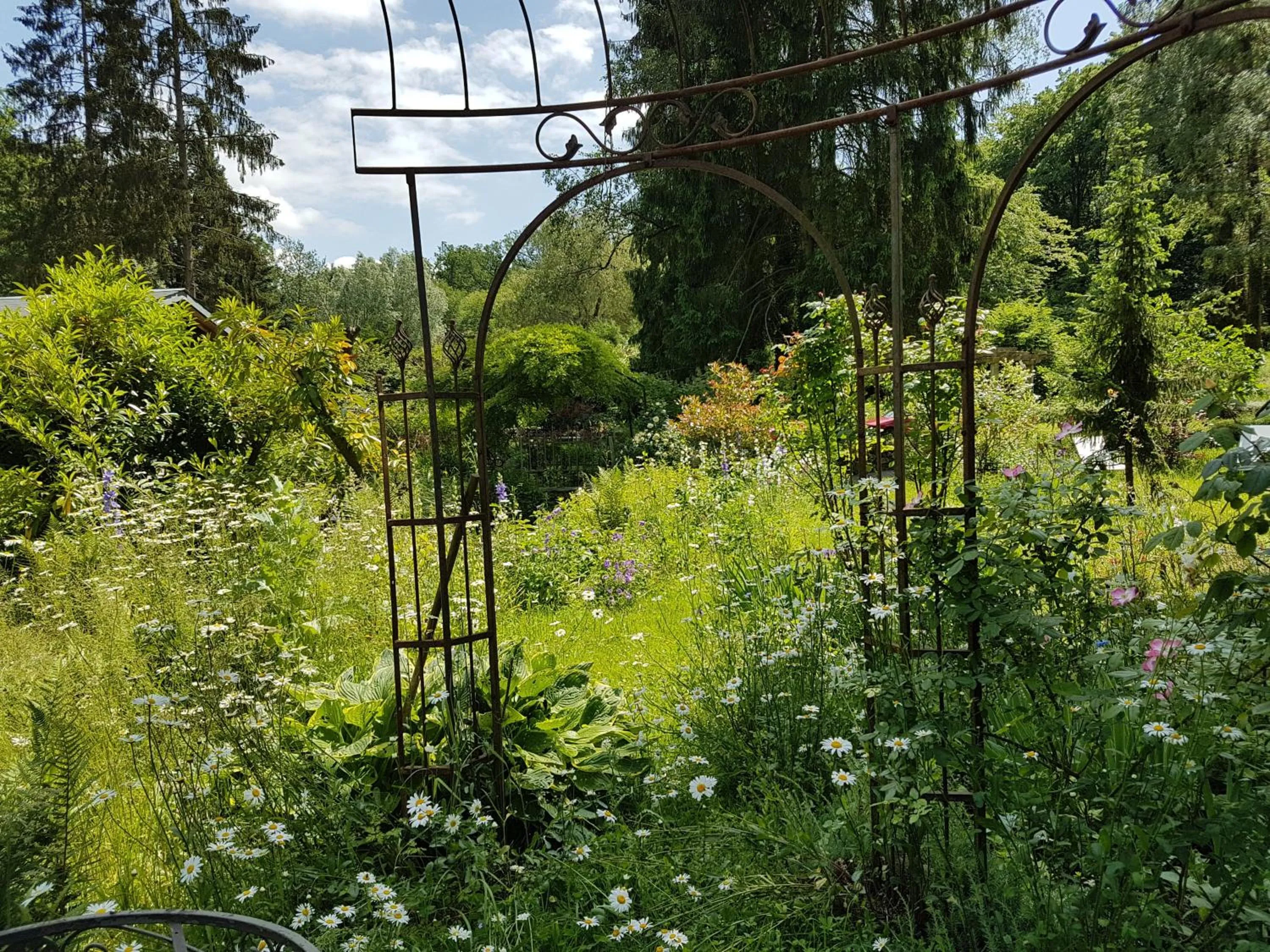 Garden in Le jardin de Saint Jean