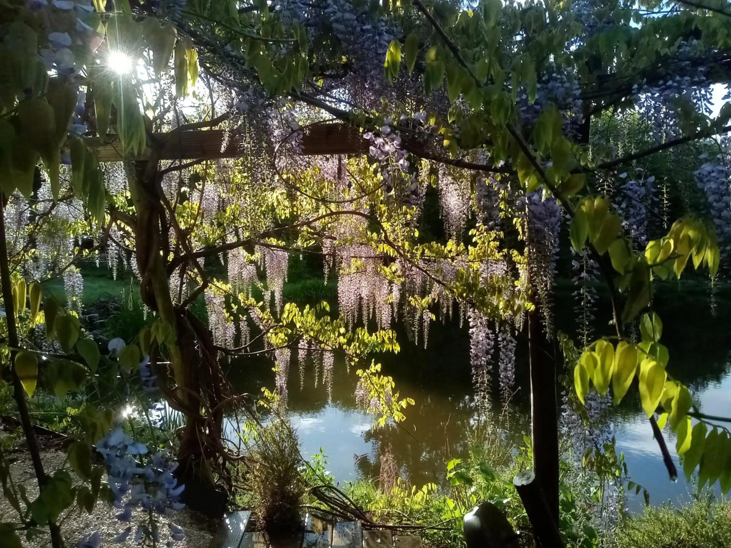 Garden in Le jardin de Saint Jean
