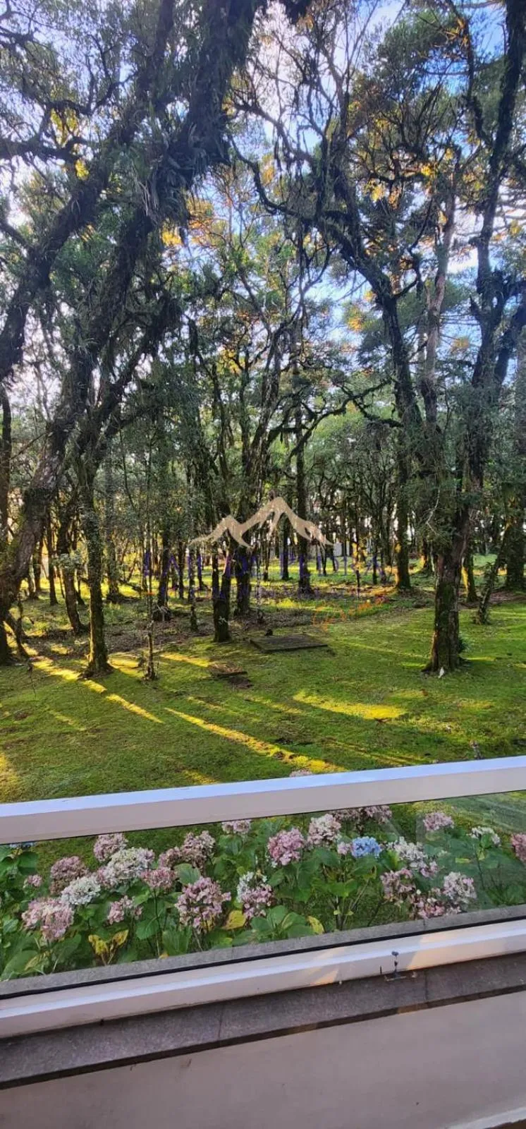 Garden view in Laje de Pedra Mountain VillagePrime