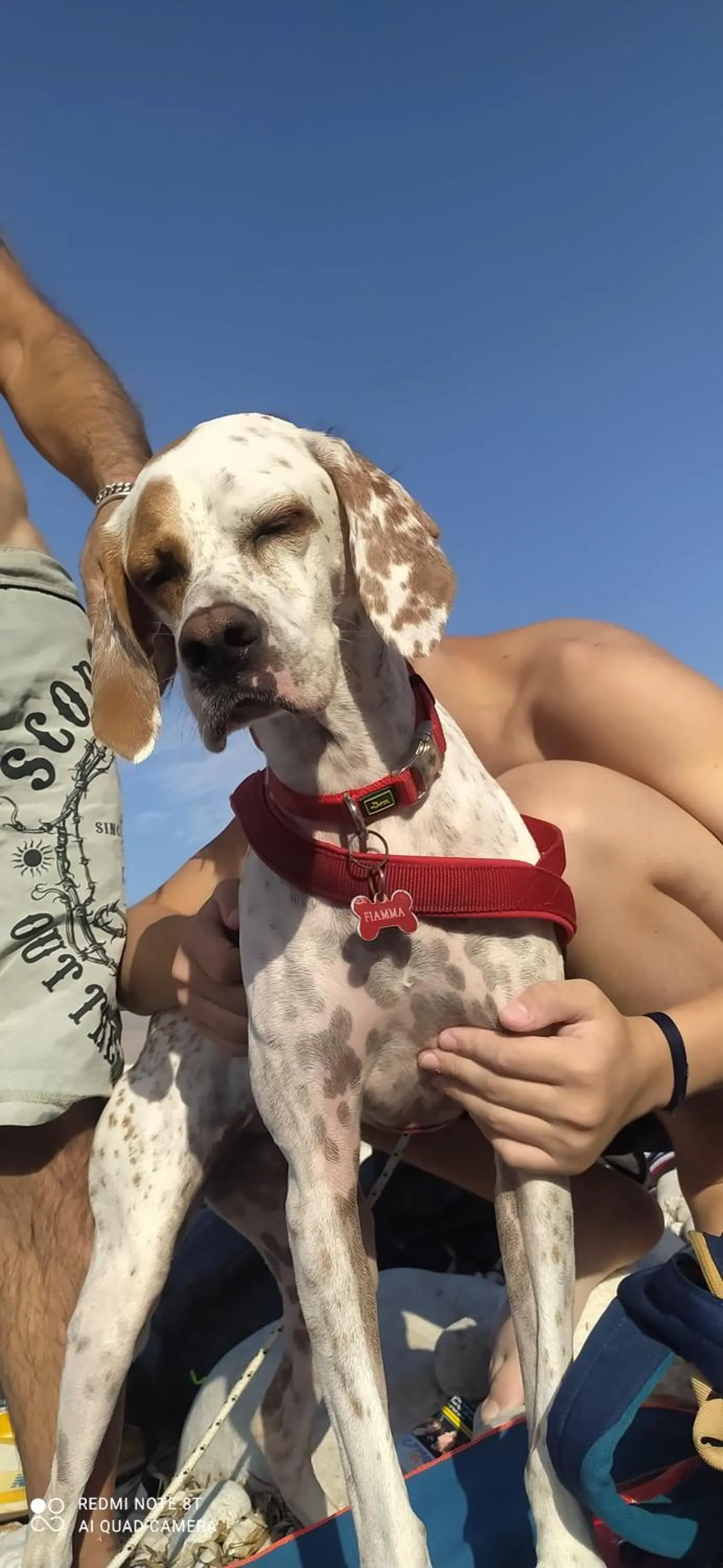 B&B Borgo del Priolo - Petfriendly