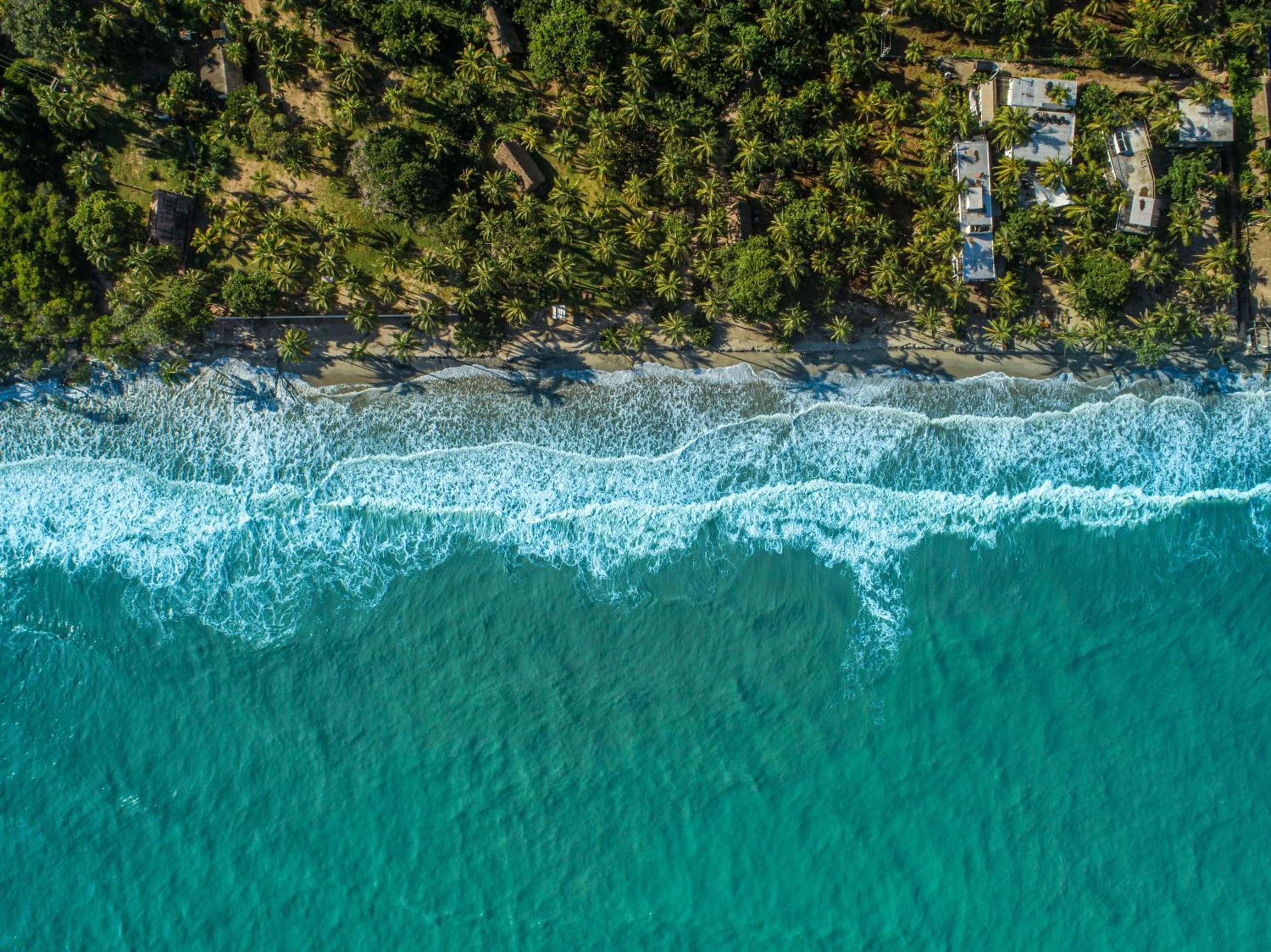 Natural landscape in Casa Chapolin Boutique Guesthouse