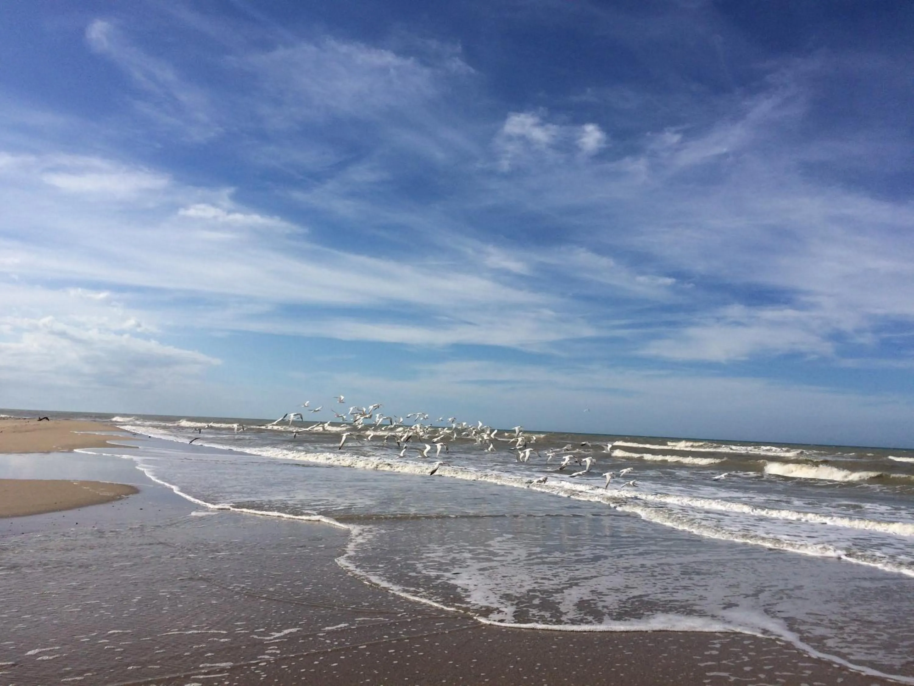 Natural landscape in Casa Chapolin Boutique Guesthouse