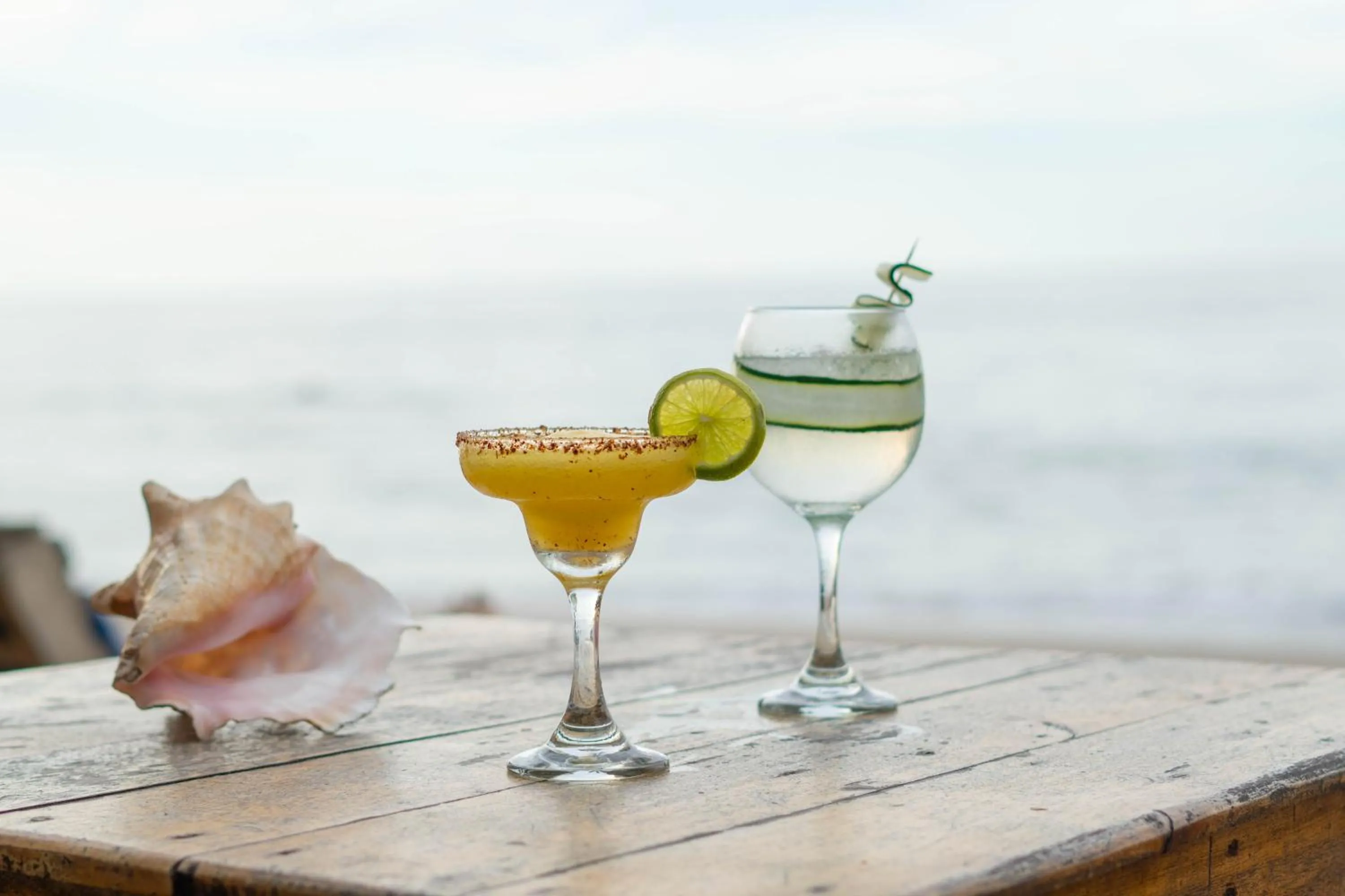 Lounge or bar in Casa Chapolin Boutique Guesthouse