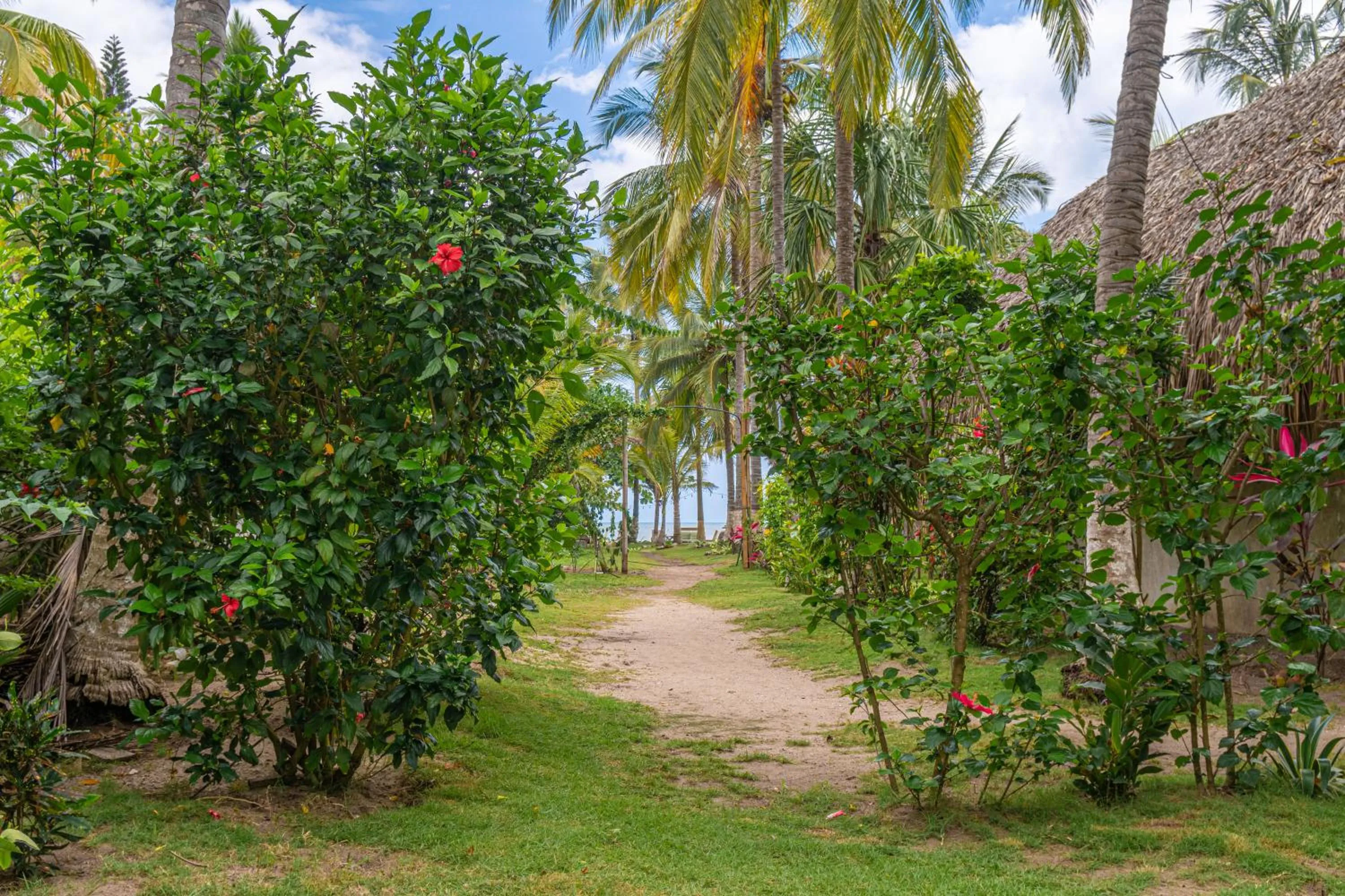 Garden in Casa Chapolin Boutique Guesthouse