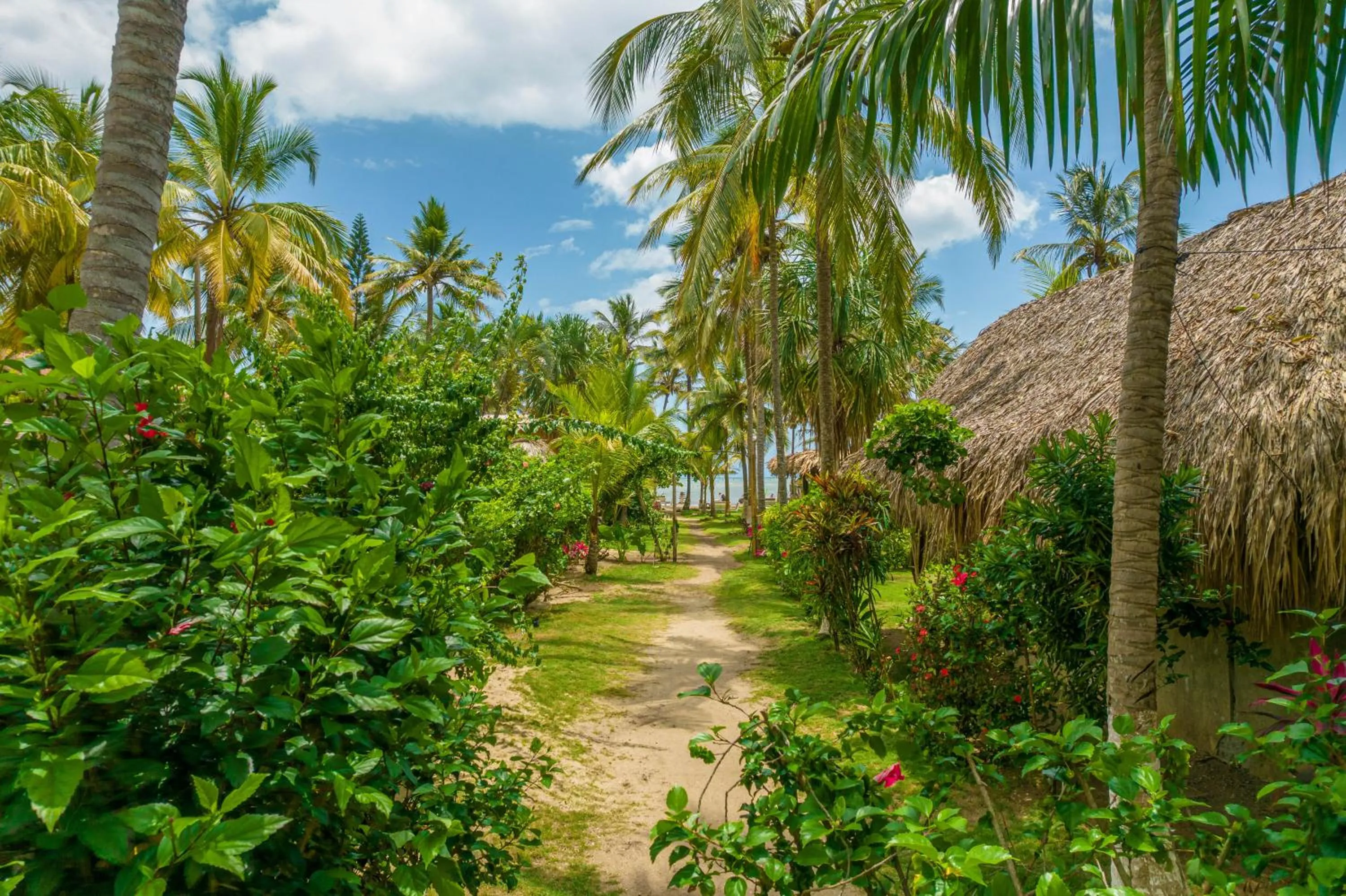 Day in Casa Chapolin Boutique Guesthouse