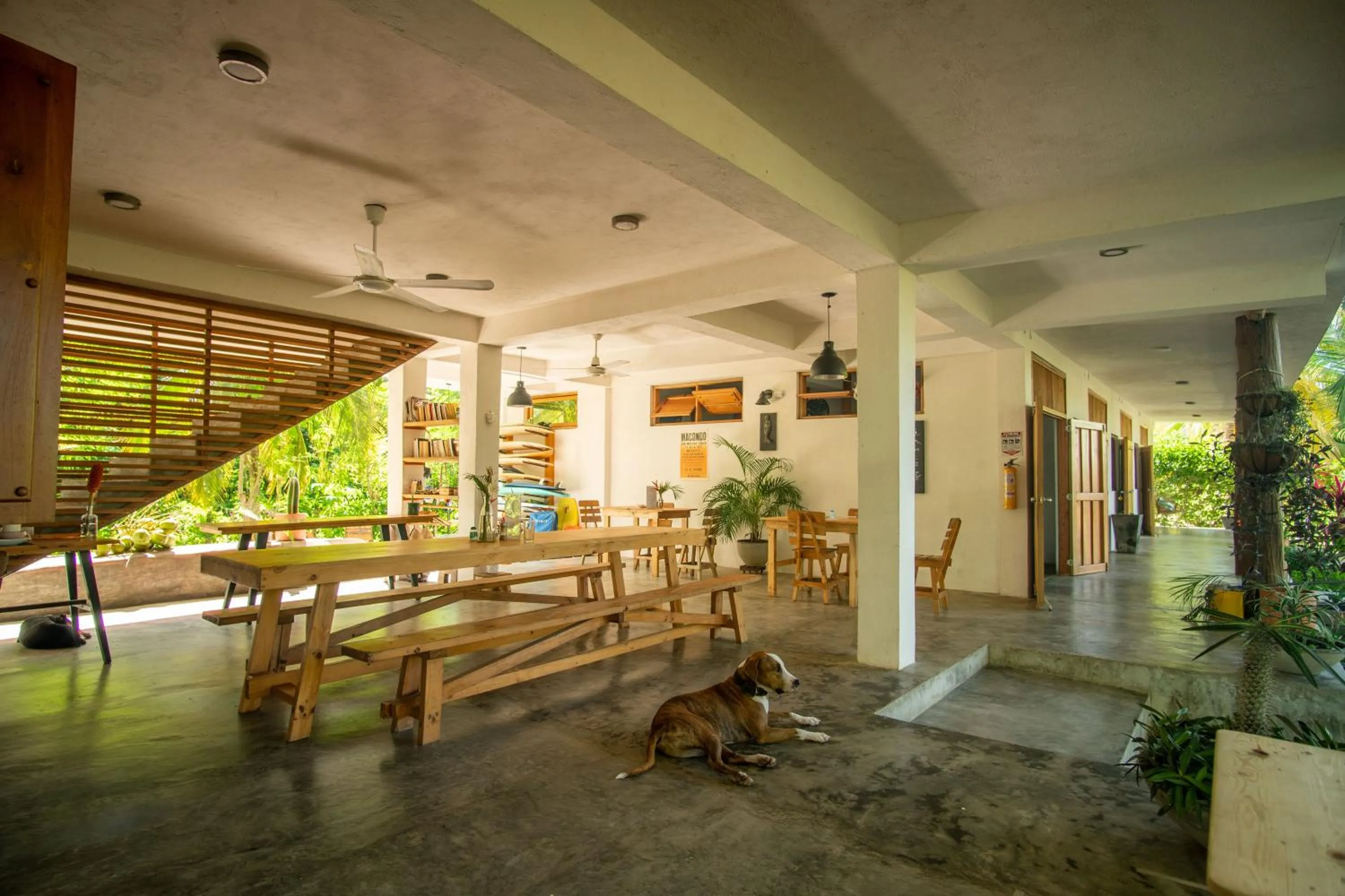 Lobby or reception in Casa Chapolin Boutique Guesthouse