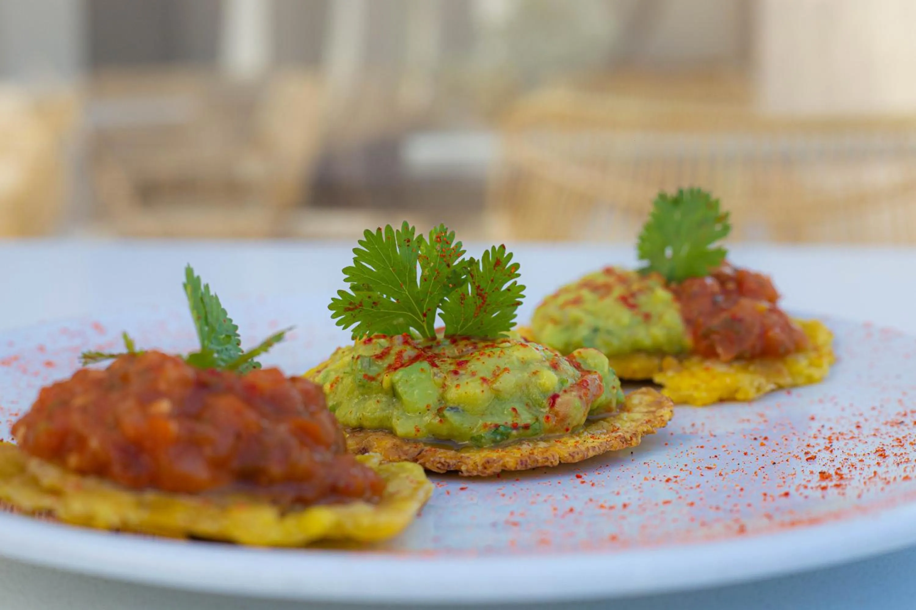 Food and drinks in Loa Tolú by Bernalo Hotels