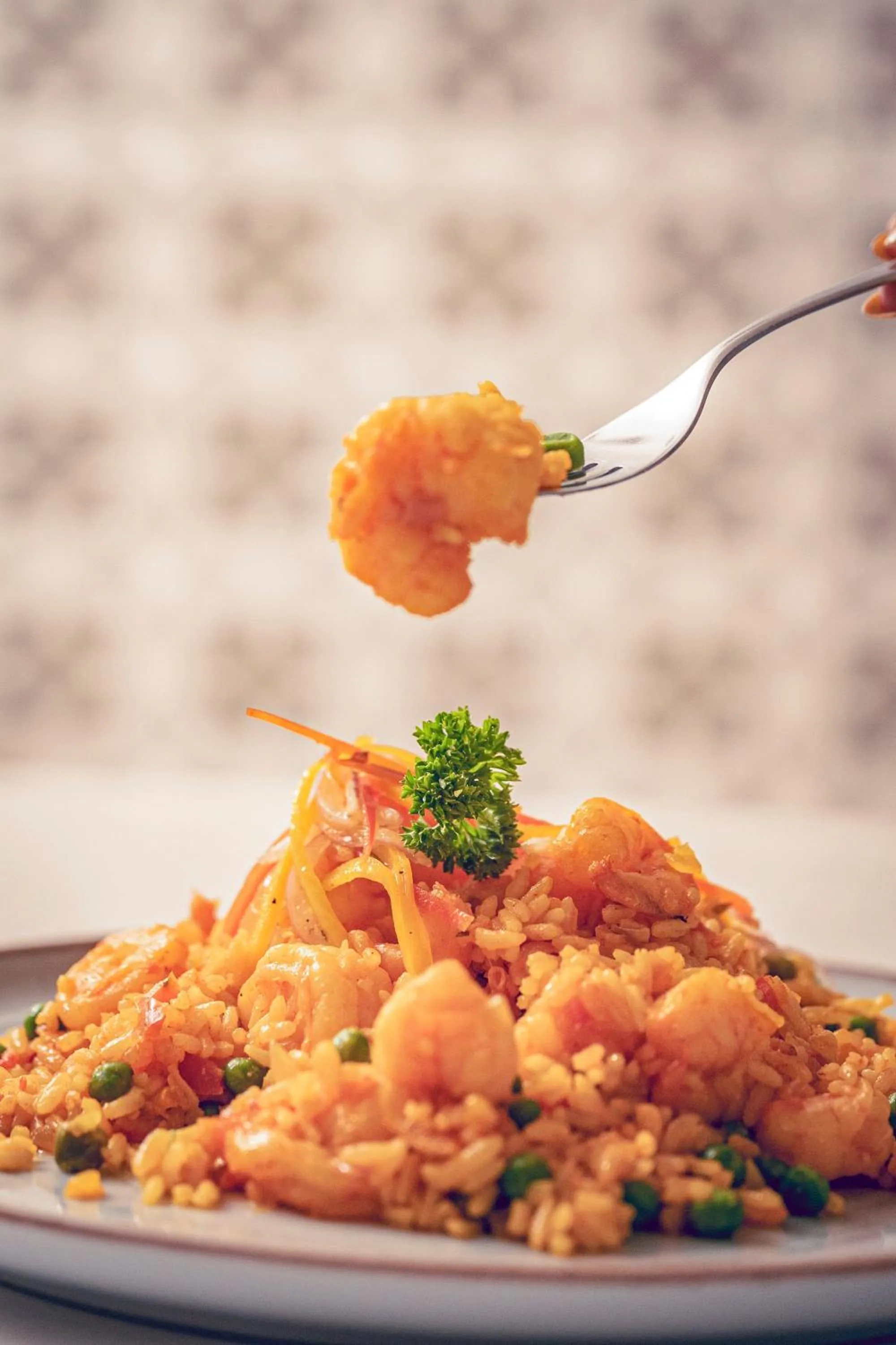 Food and drinks in Loa Tolú by Bernalo Hotels