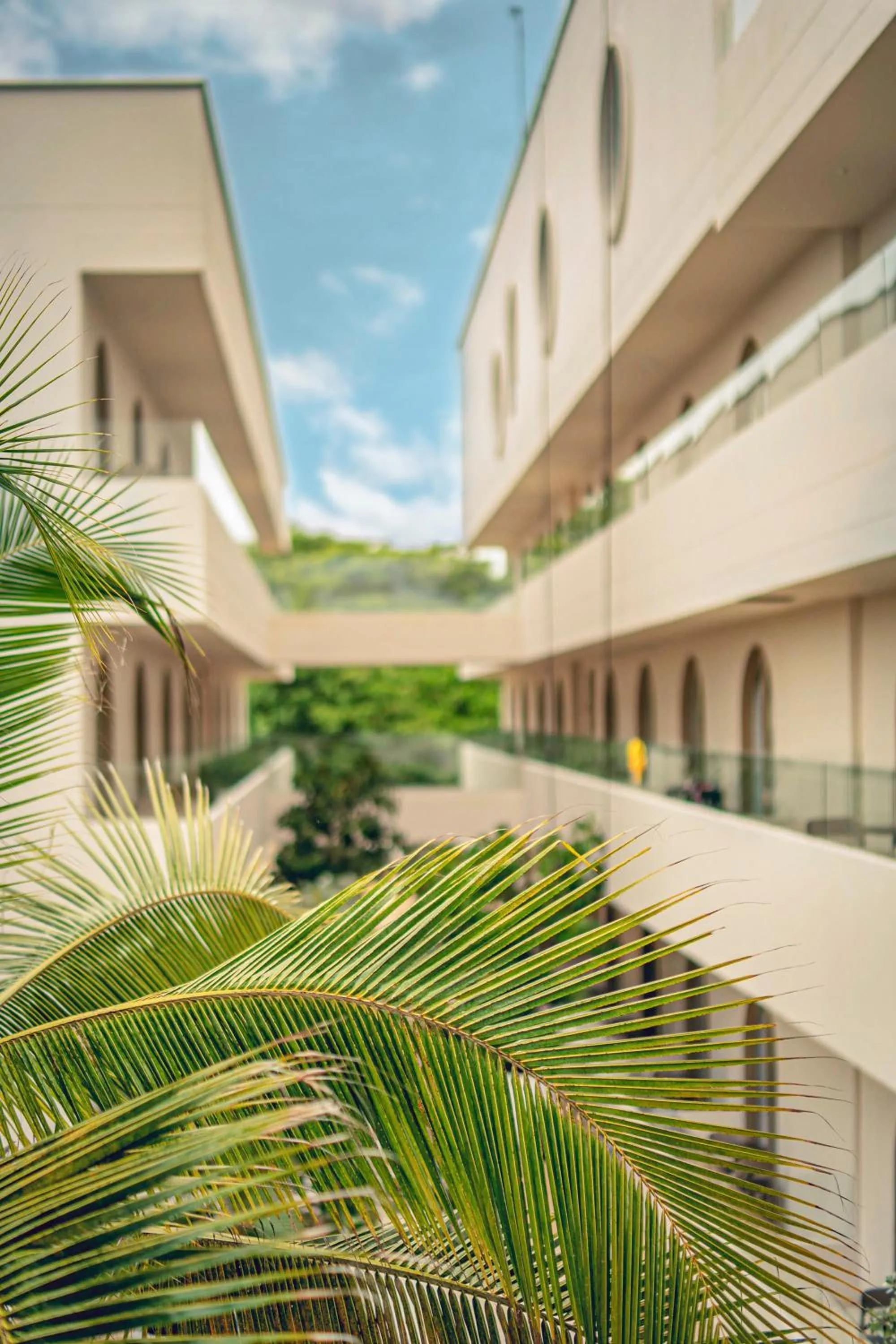 Property building in Loa Tolú by Bernalo Hotels