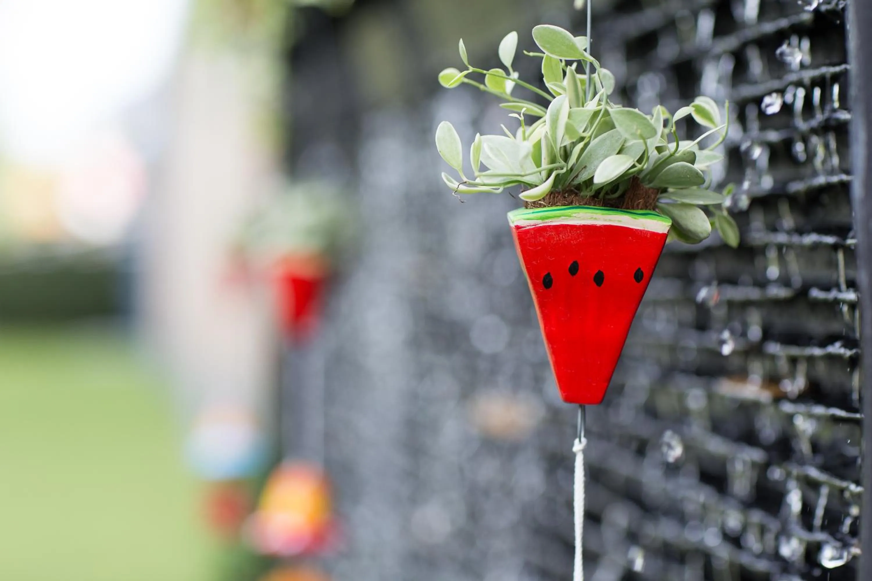 Garden in Pongsakorn Boutique Resort
