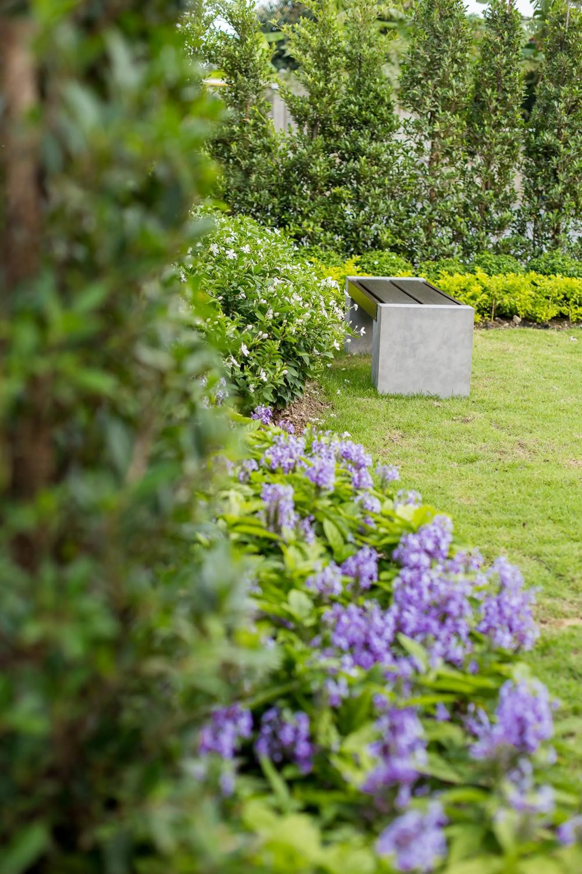Garden in Pongsakorn Boutique Resort