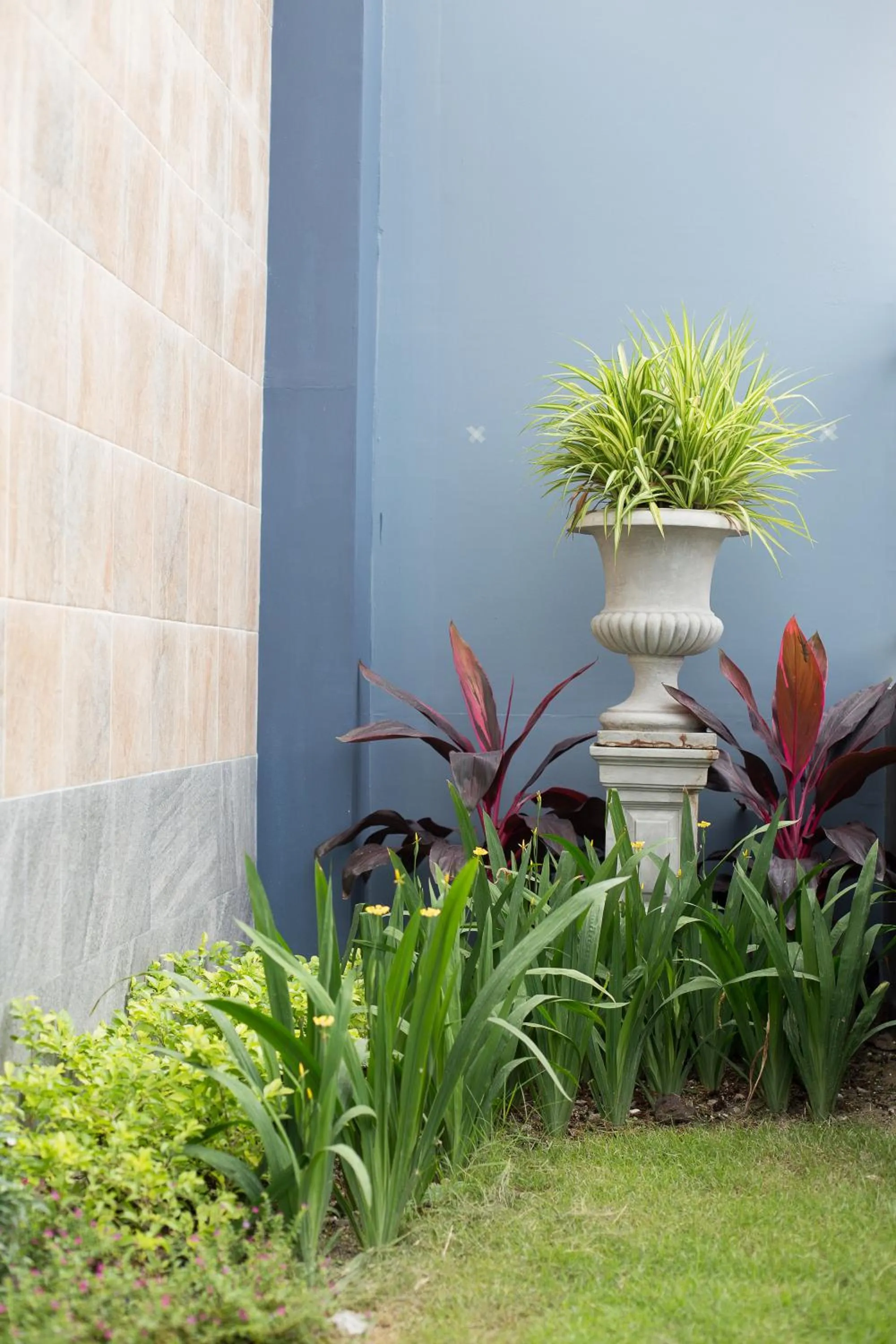 Garden in Pongsakorn Boutique Resort