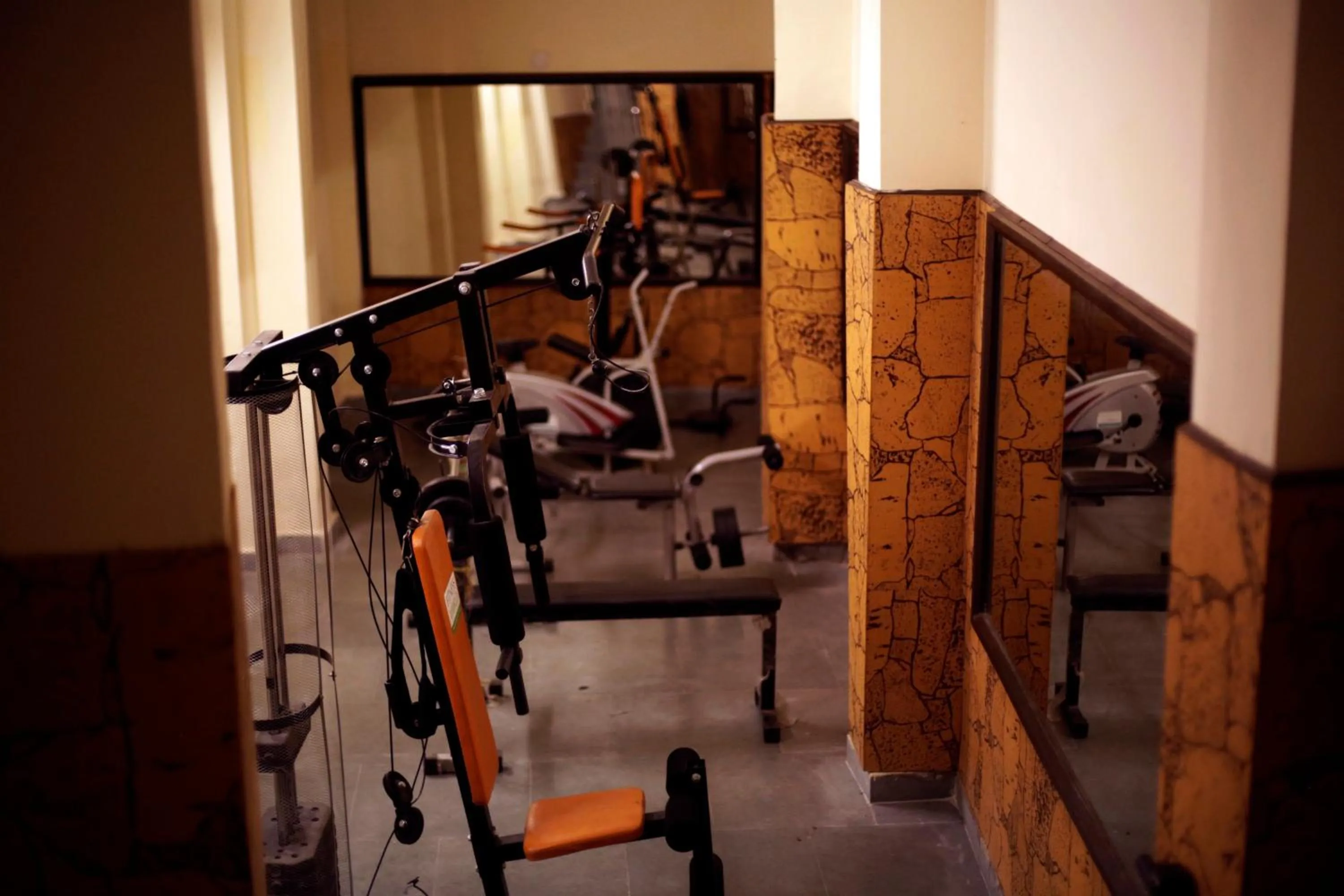 Activities in Hotel Glacier Resort