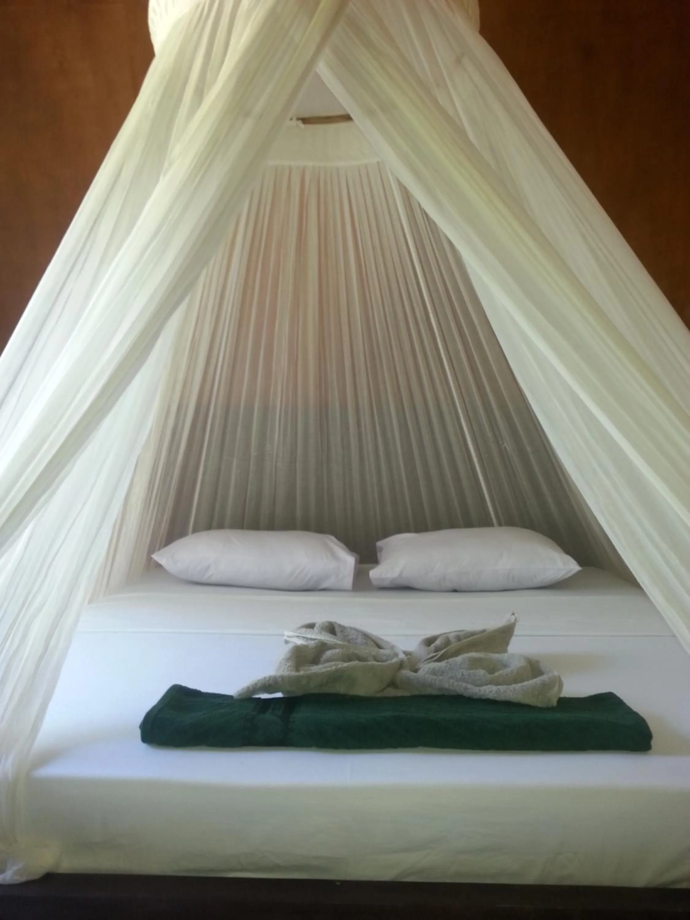 bunk bed, Bed in Cnunk Bungalow