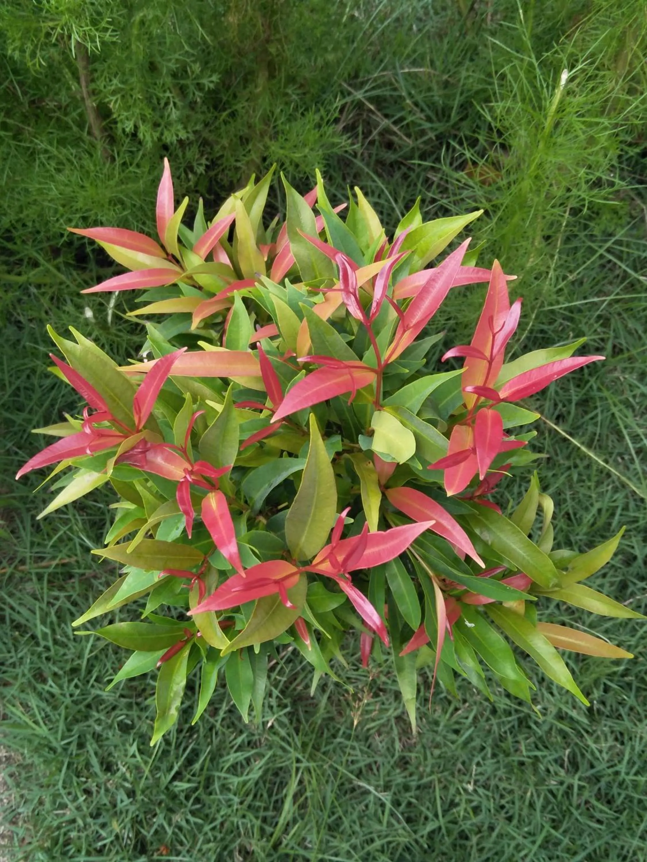 Spring in Cnunk Bungalow